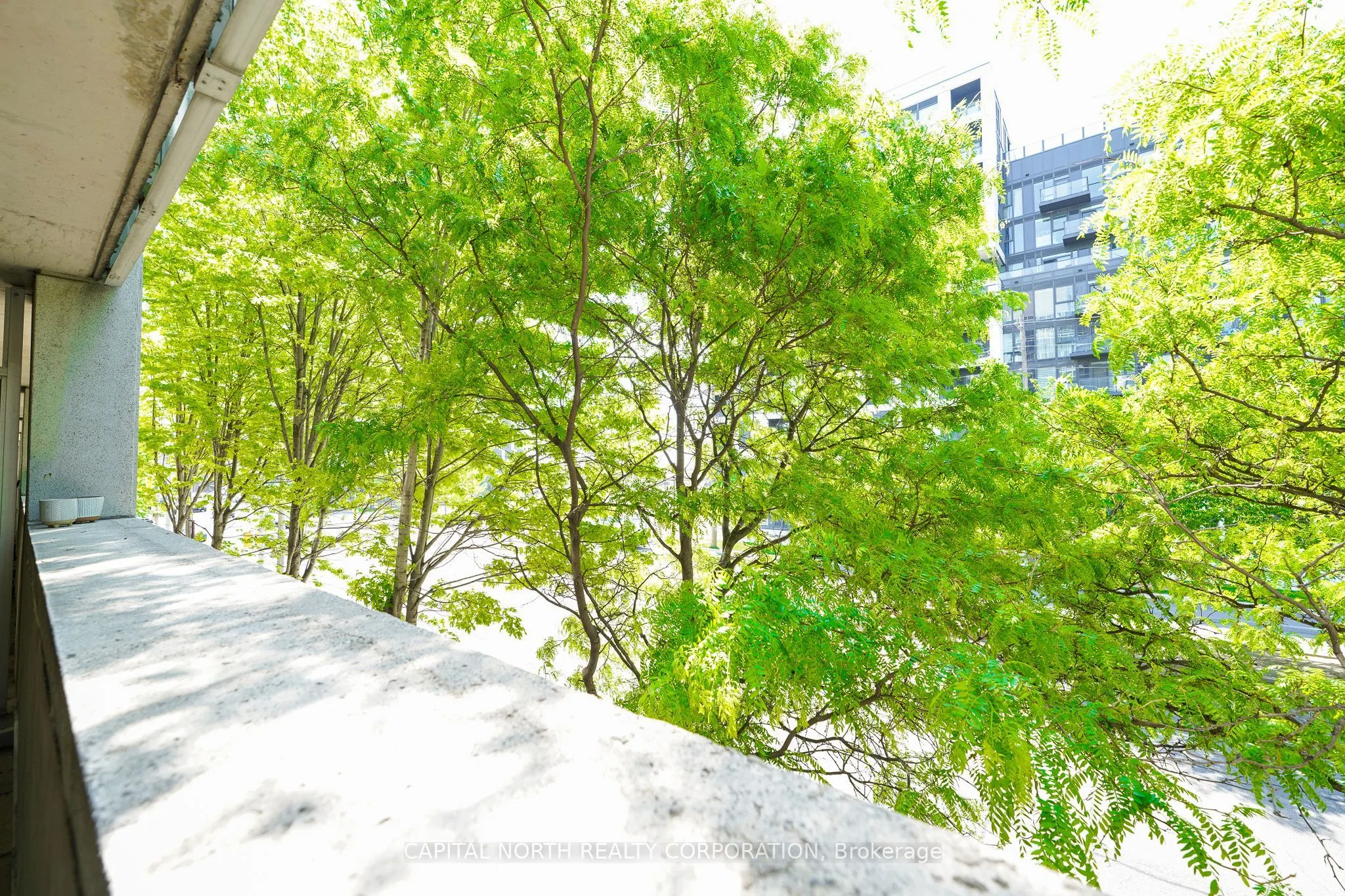 1050 The Queensway #207