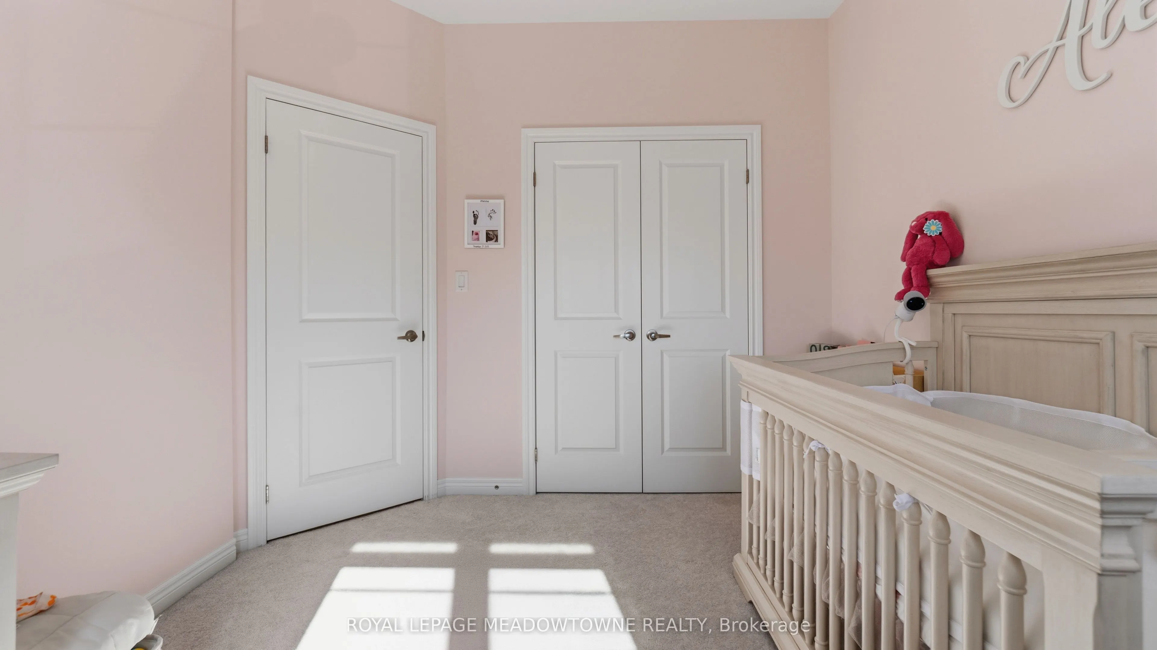 8 Angelfish Road