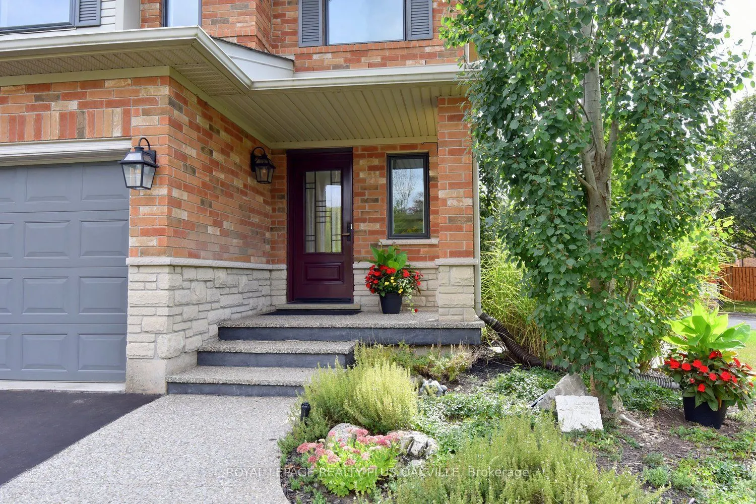 546 Sandcherry Drive