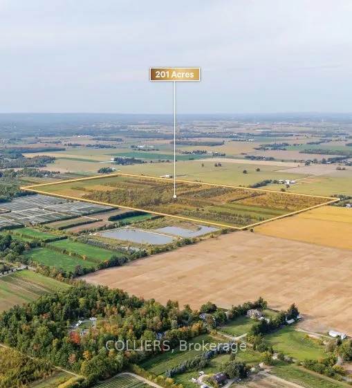 16768 Side Rd 22