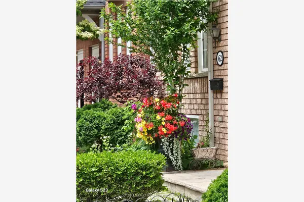 76 Viella Street