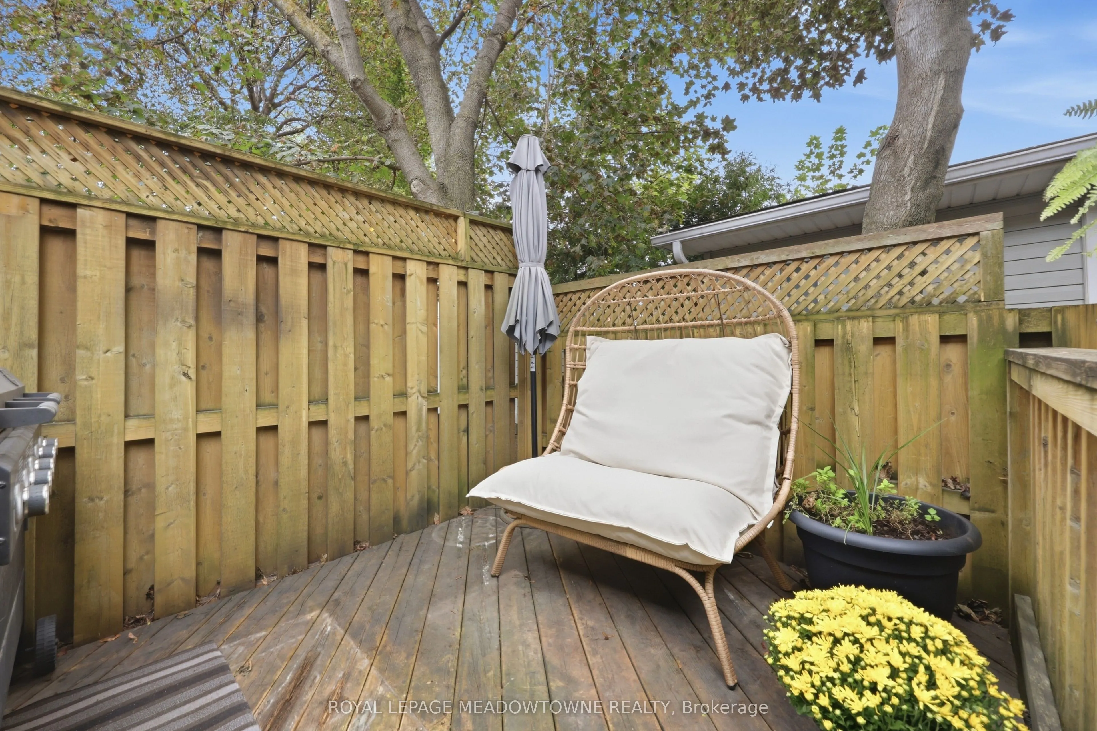 59 Maple Avenue #36