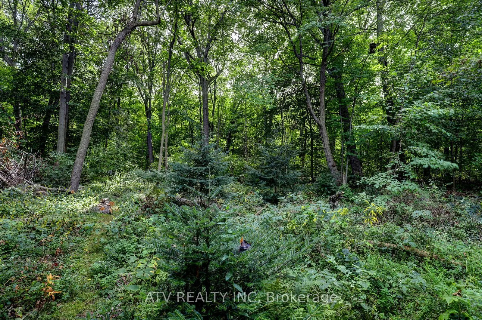 235 Saint Marks Road