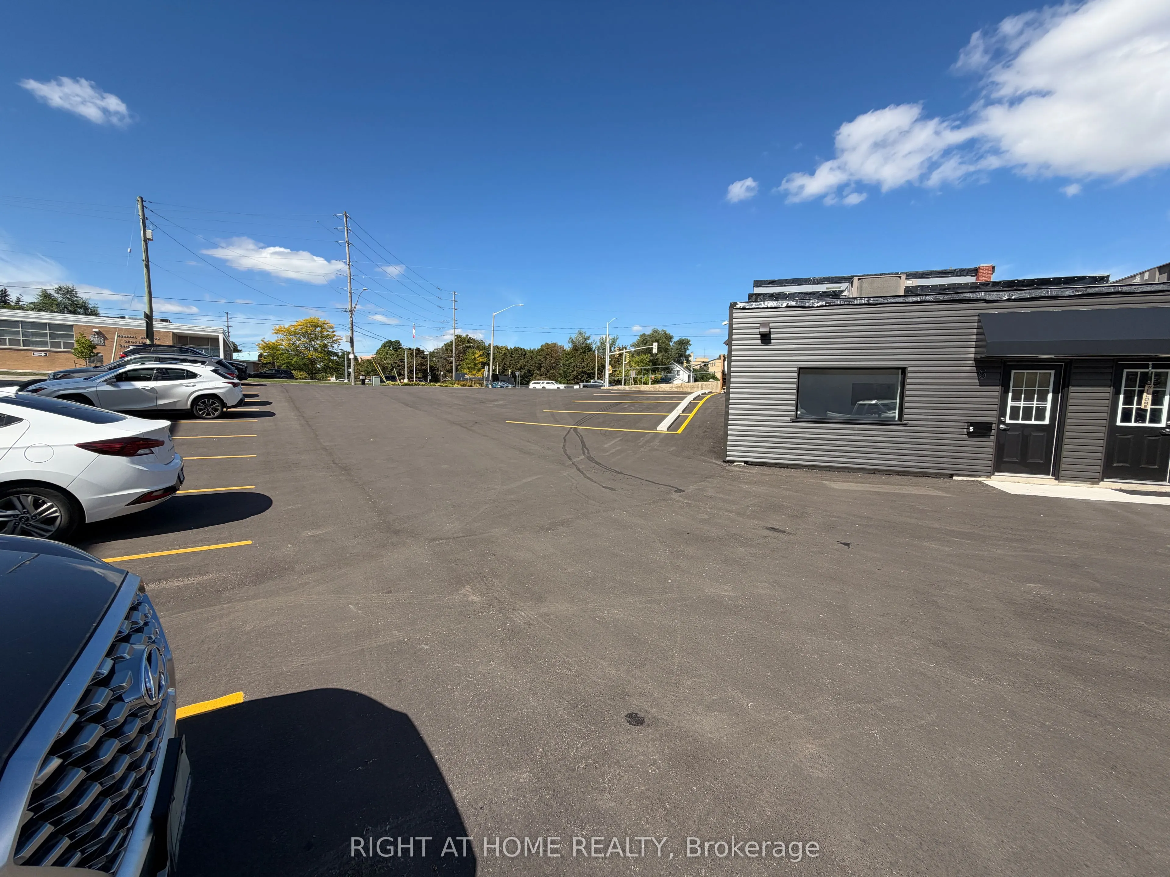 116 Guelph Street #5