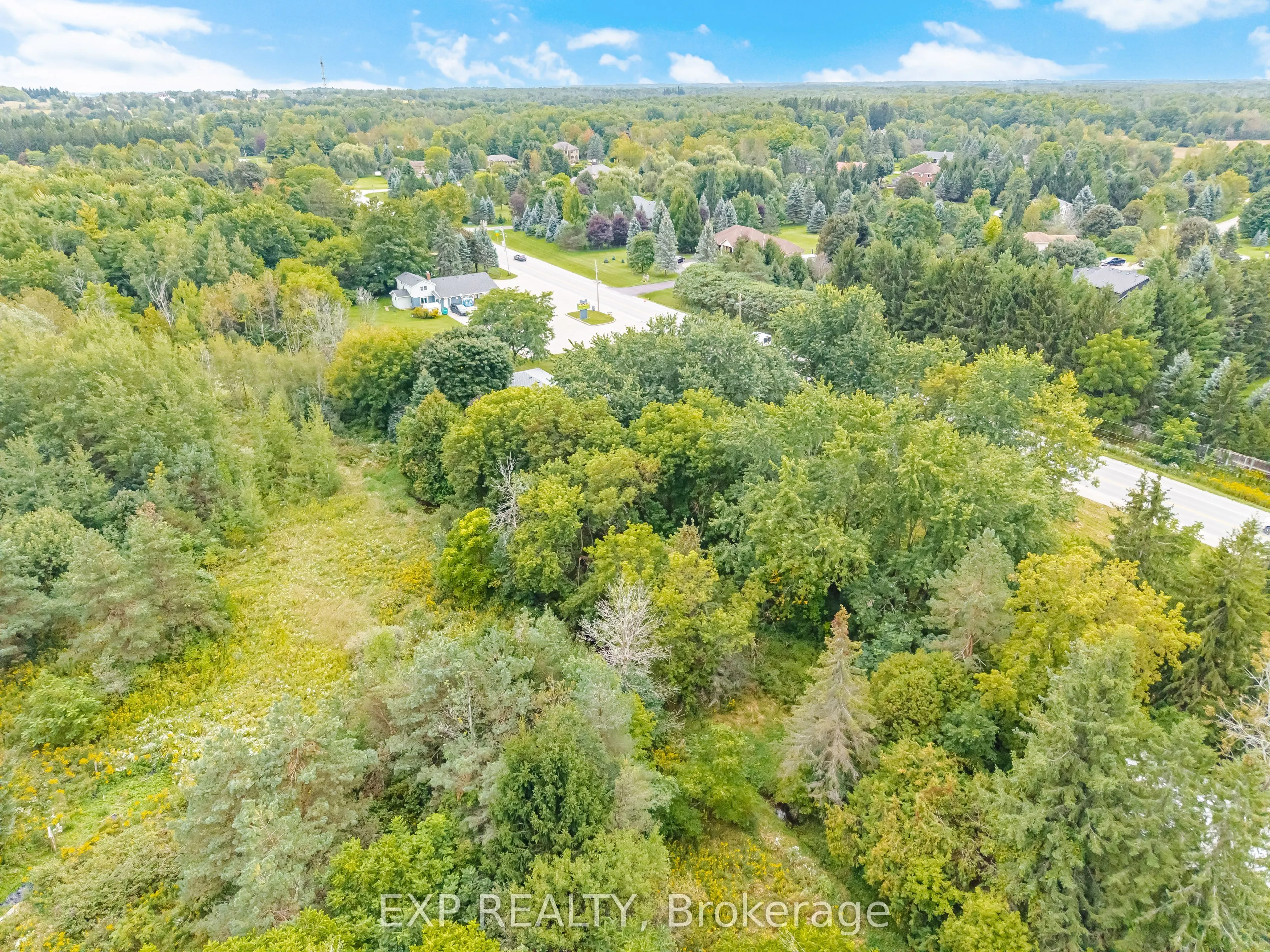 14367 Trafalgar Road N