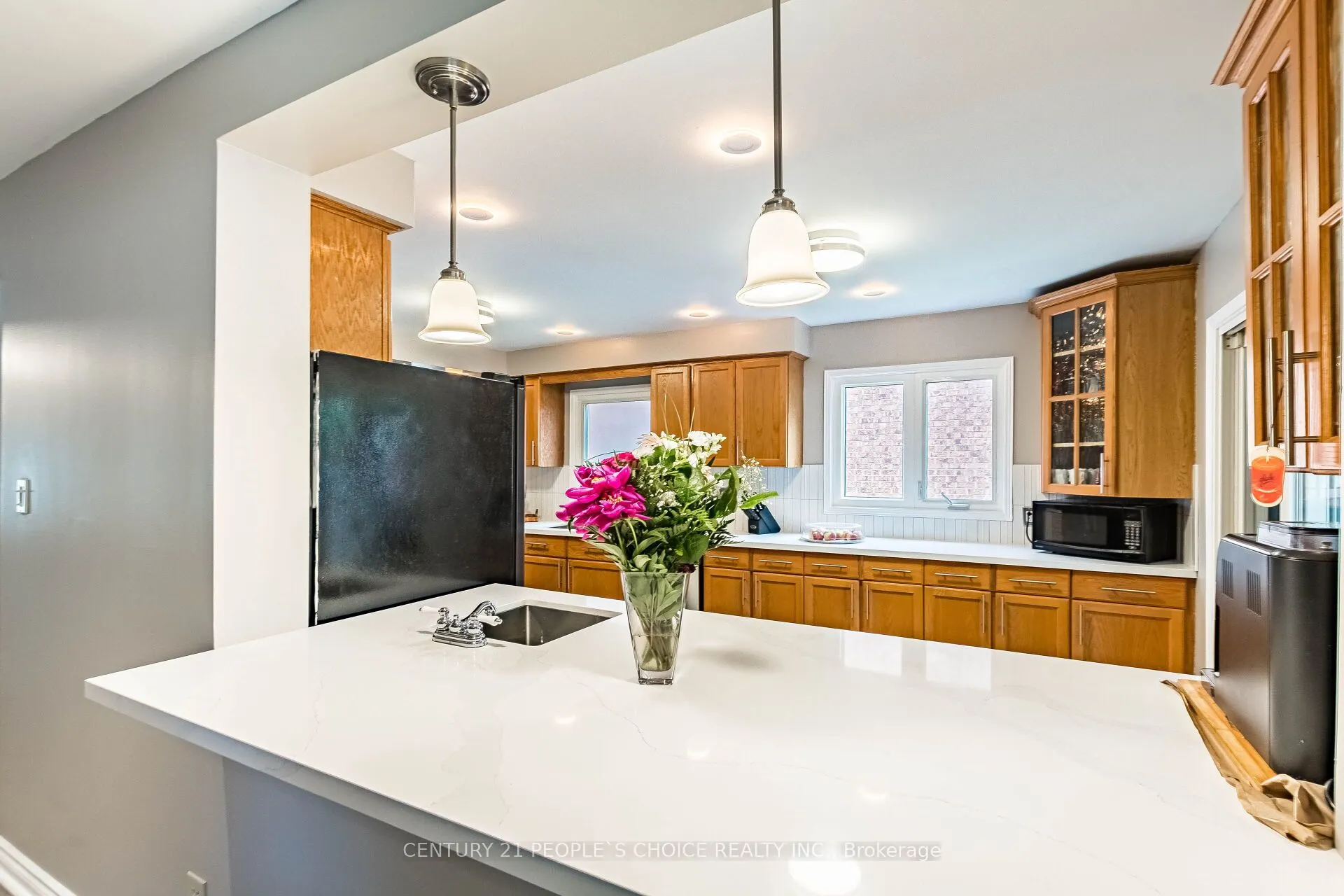 4844 Owl Circle