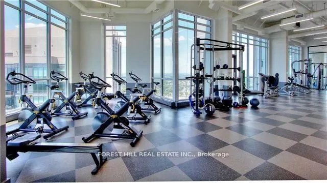 10 Park Lawn Road #3204