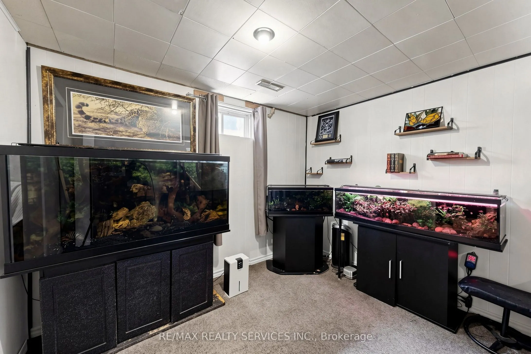 54 Griselda Crescent