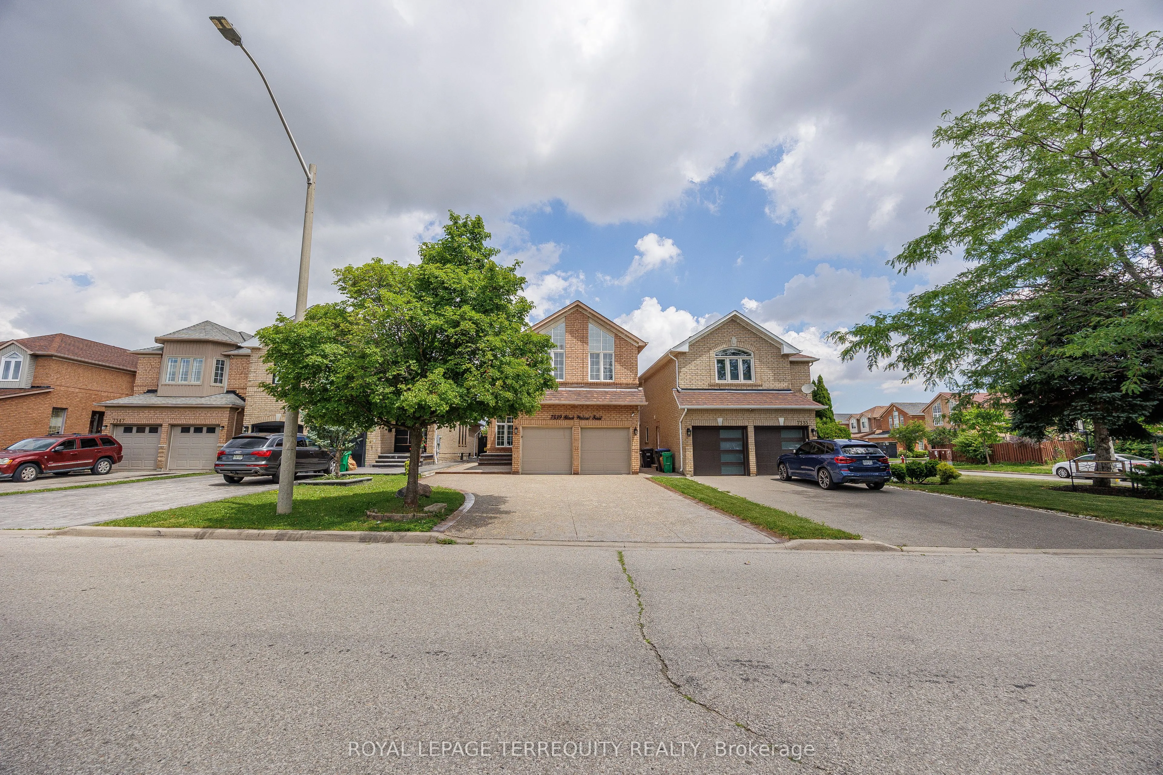 7339 Black Walnut Trail