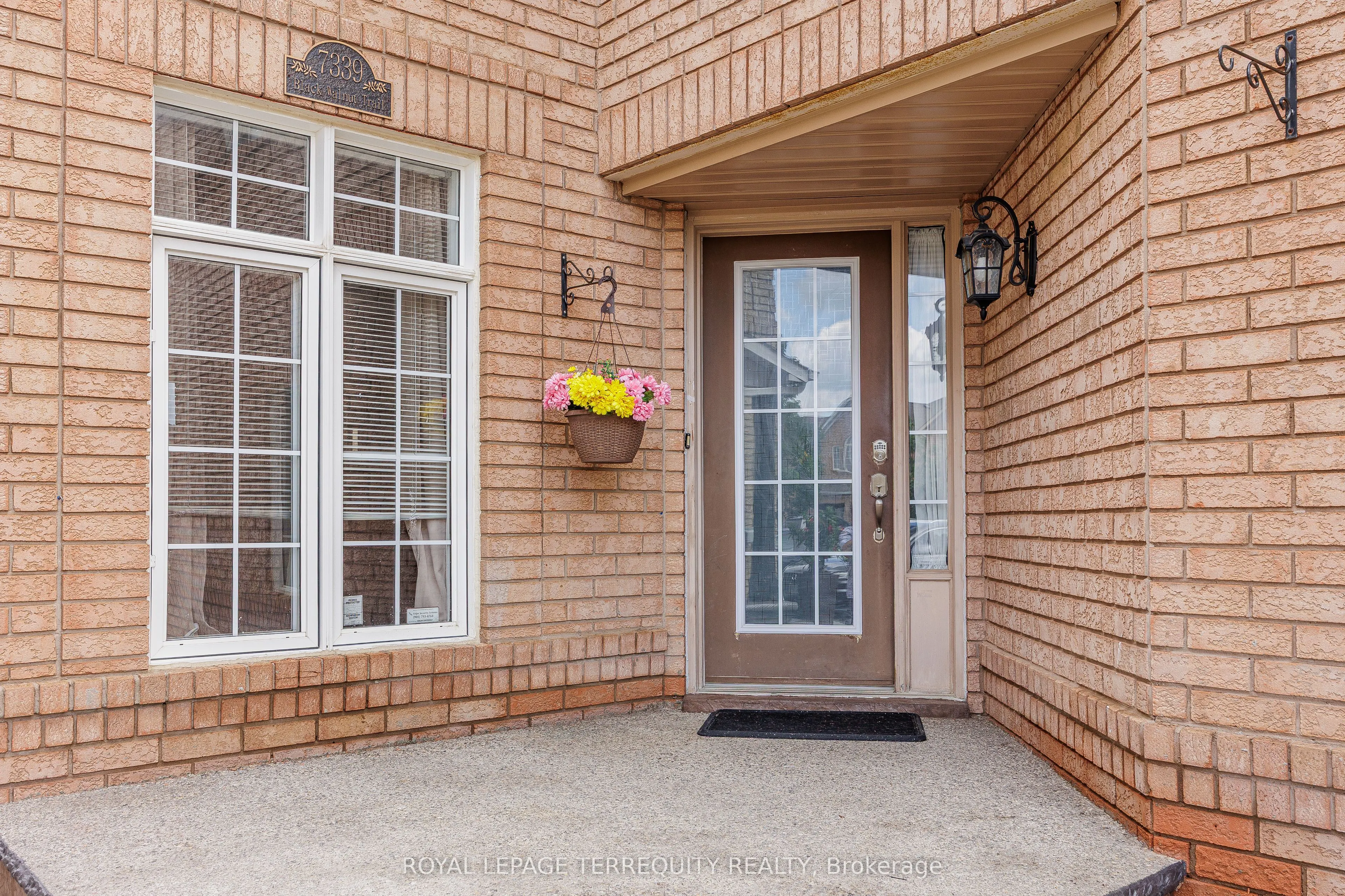 7339 Black Walnut Trail