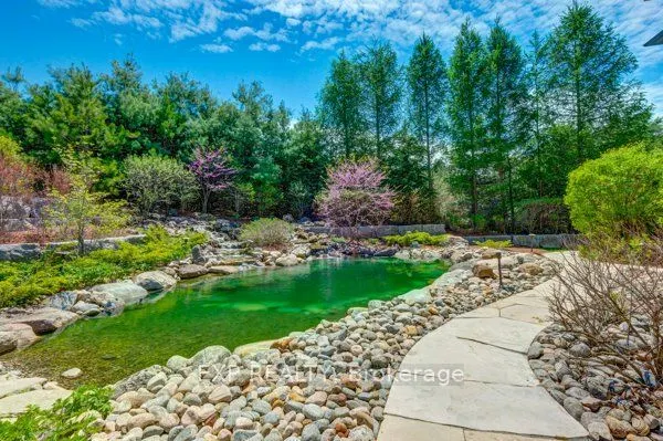 21 Edgewild Drive