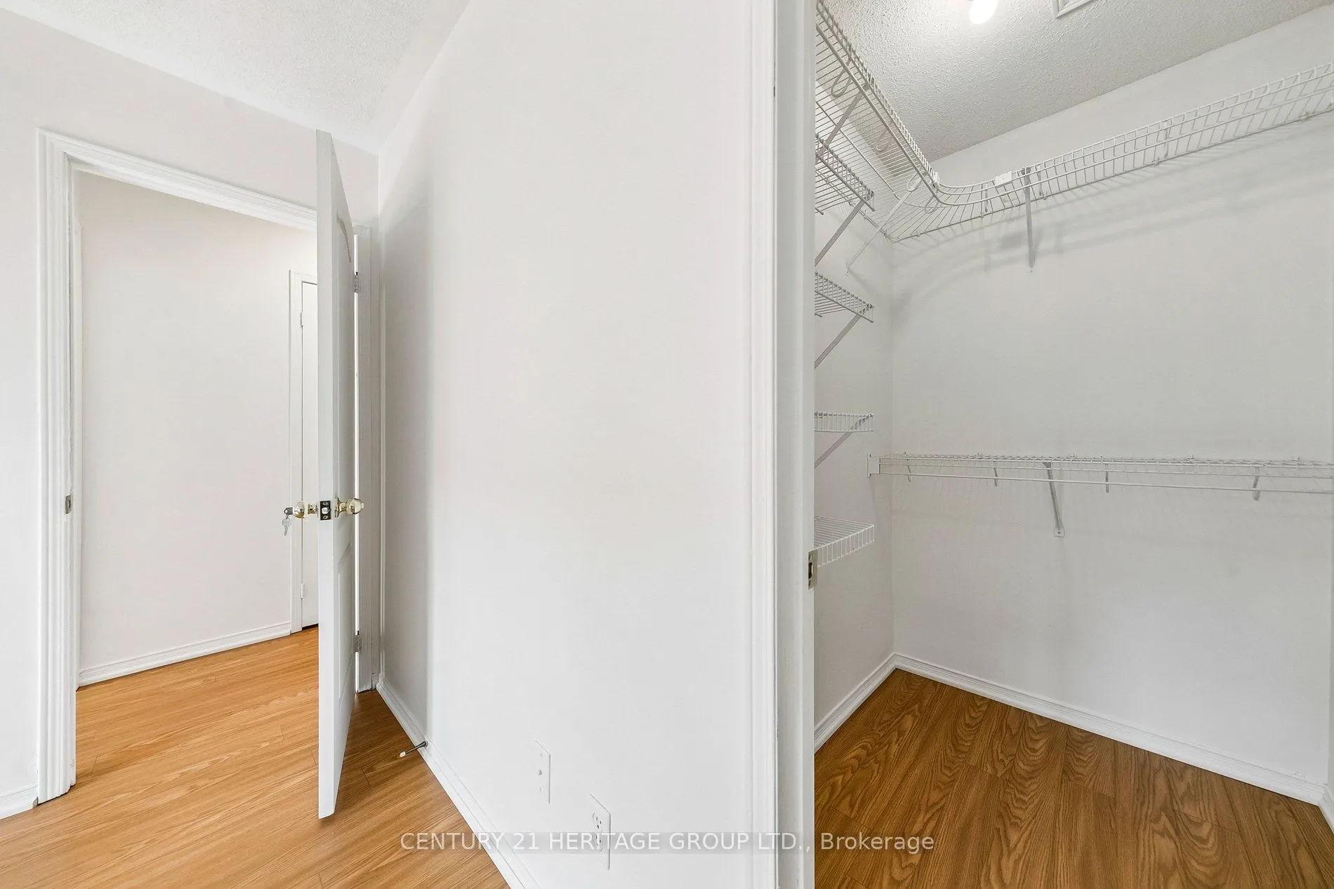 3920 Zenith Court
