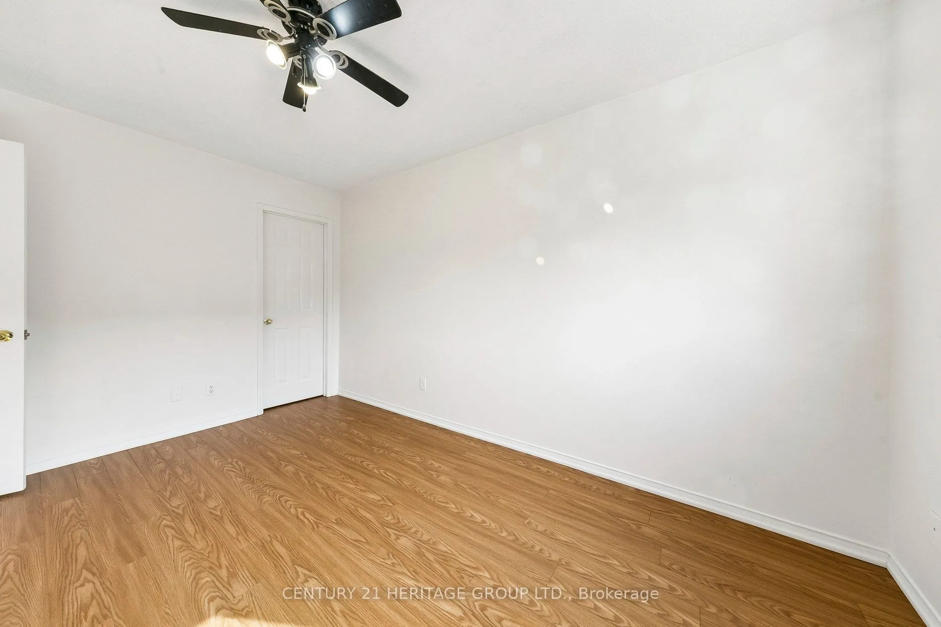 3920 Zenith Court