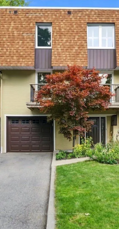37 Tulip Street