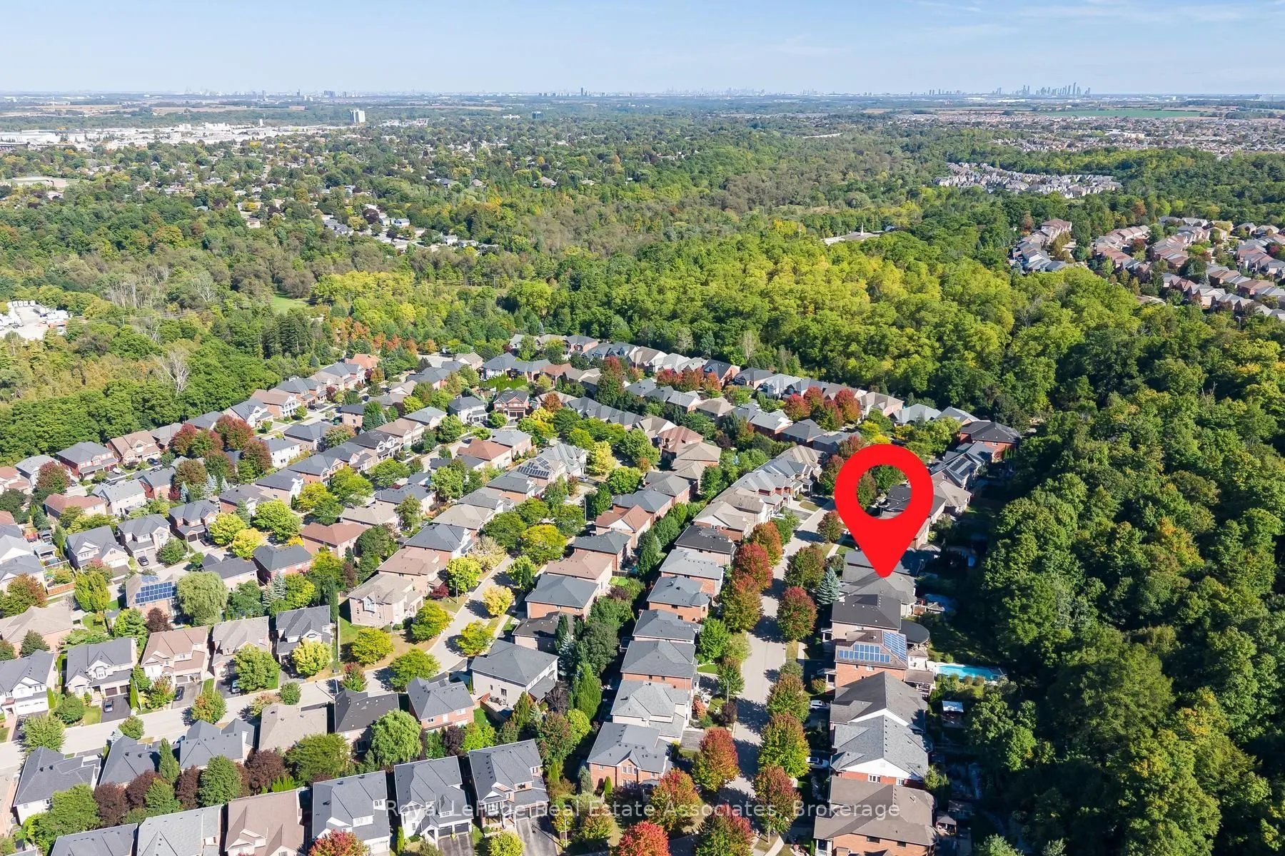 50 Arborglen Drive