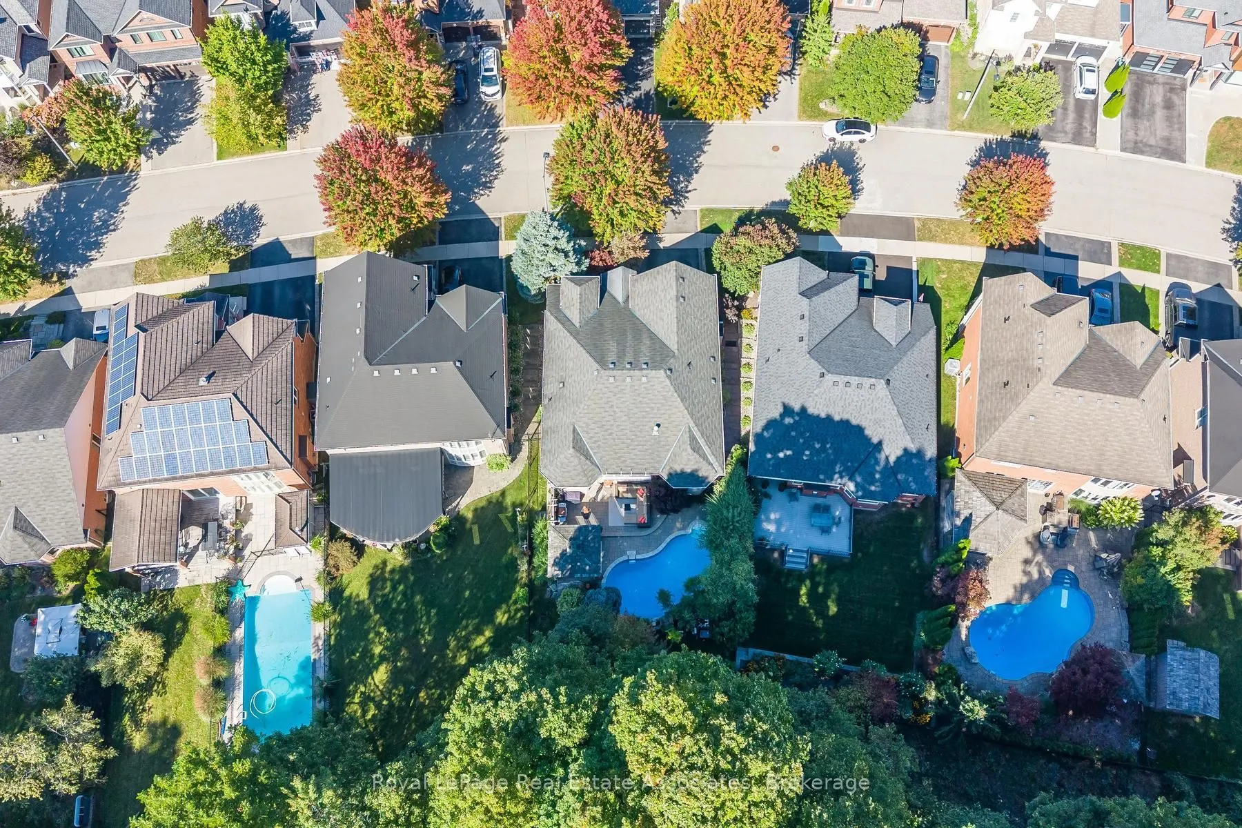50 Arborglen Drive