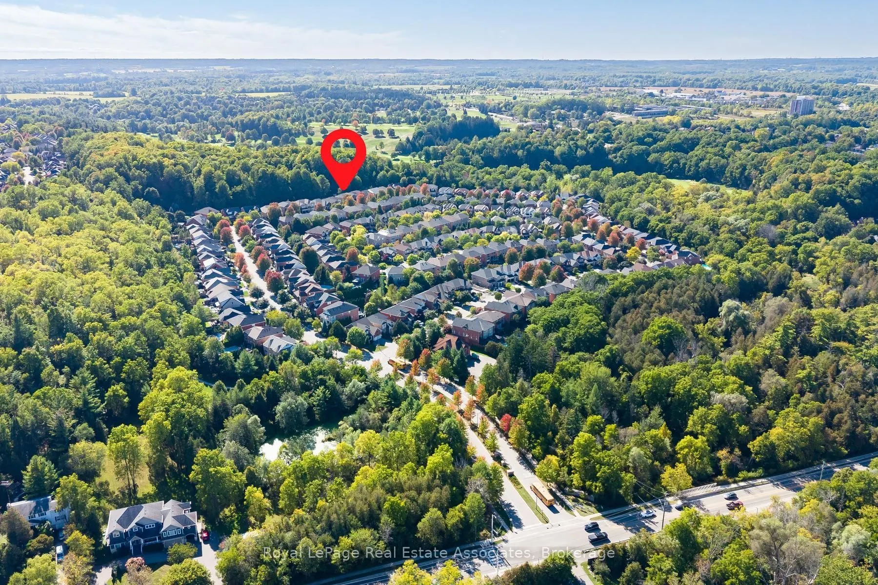50 Arborglen Drive