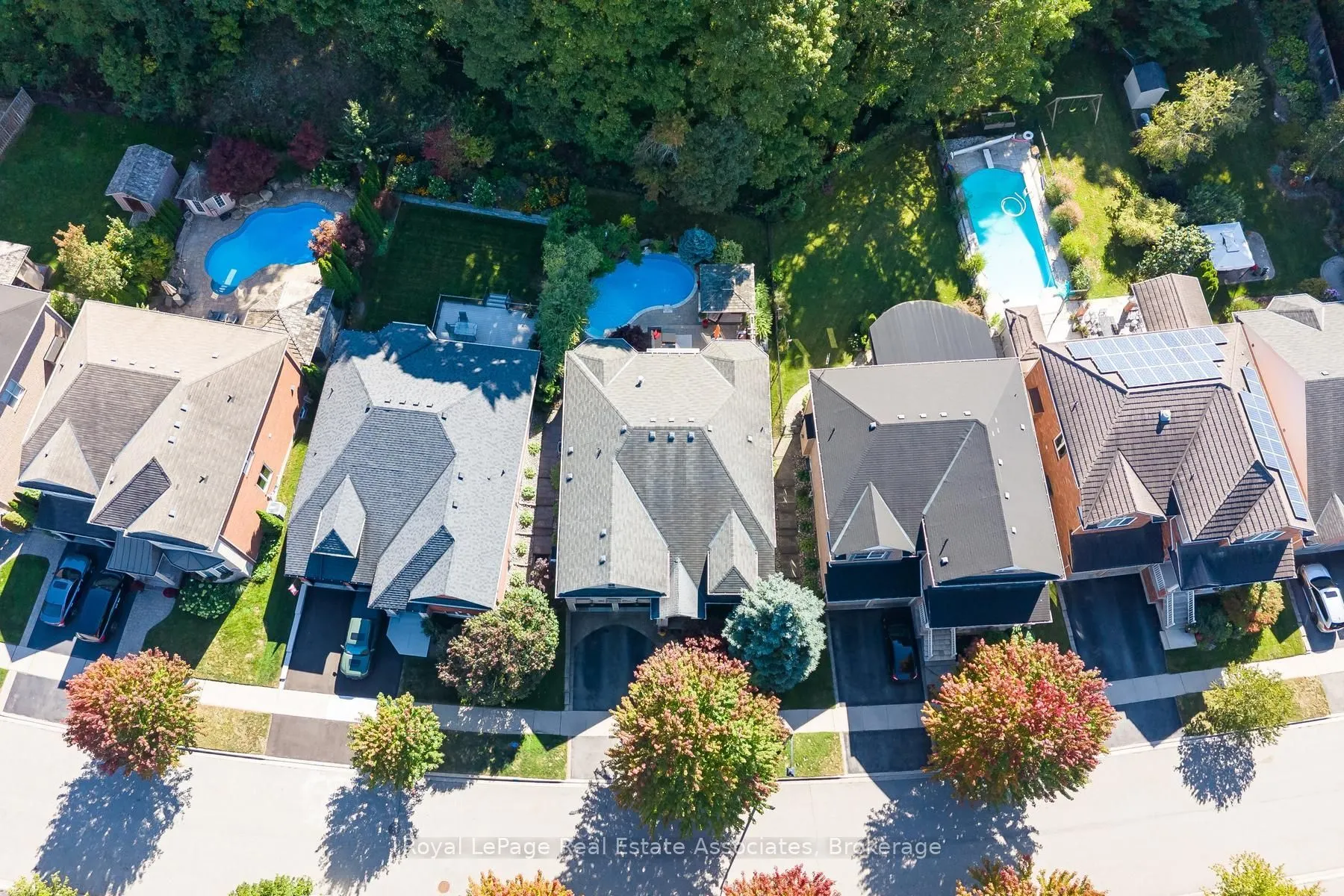50 Arborglen Drive