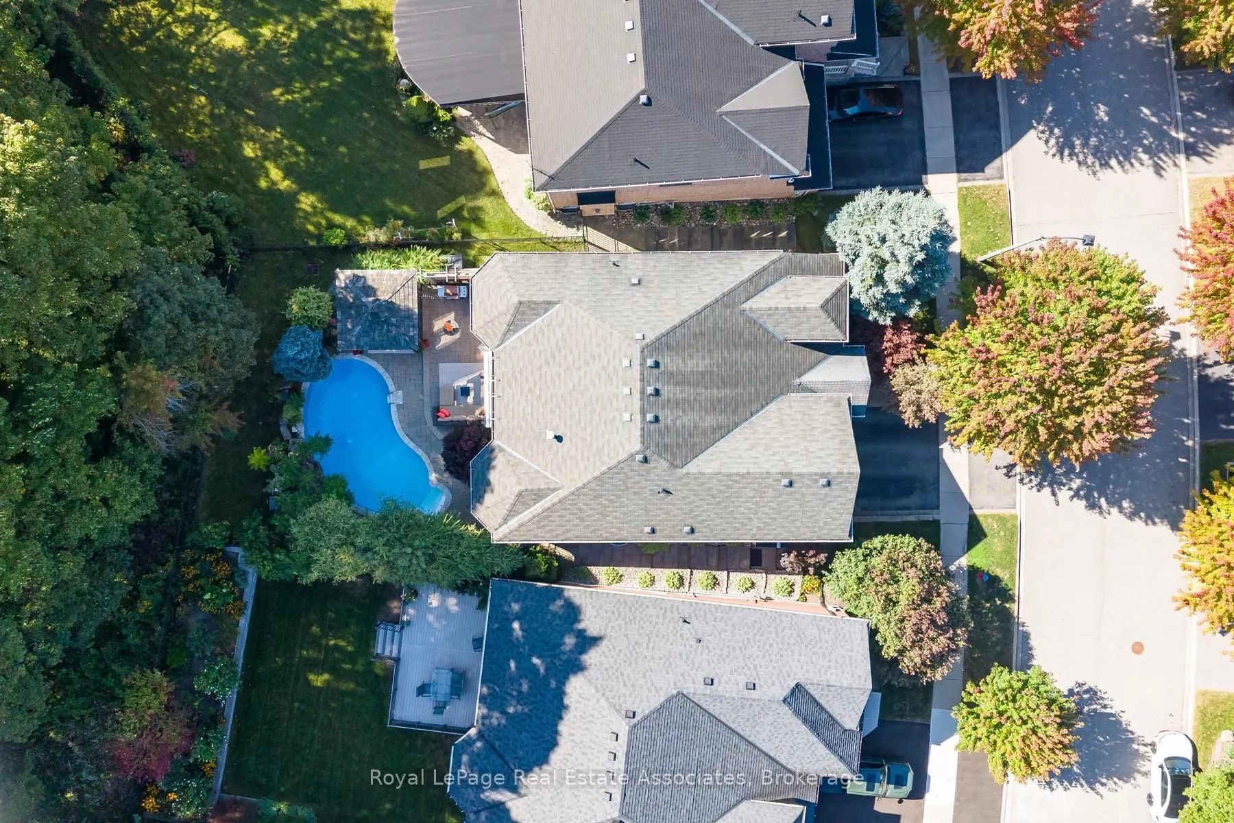 50 Arborglen Drive