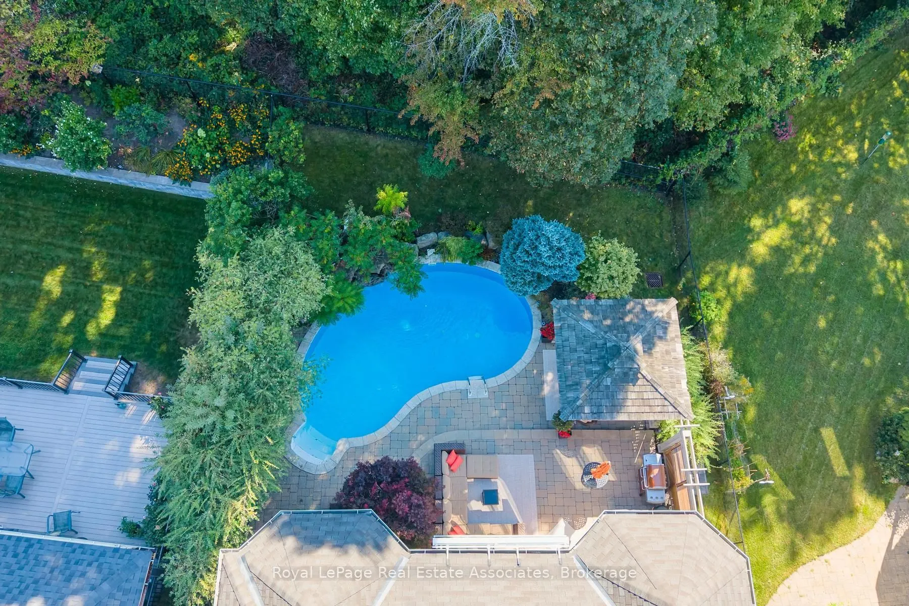 50 Arborglen Drive