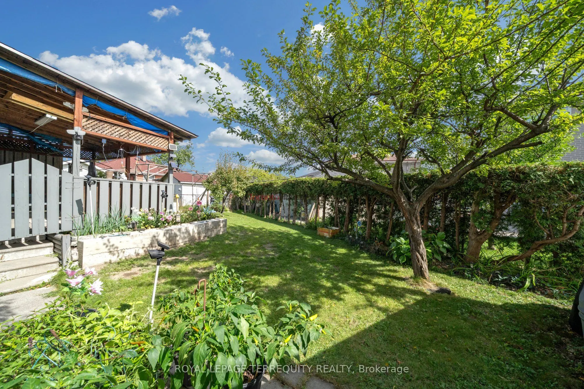 11 Dixiana Court