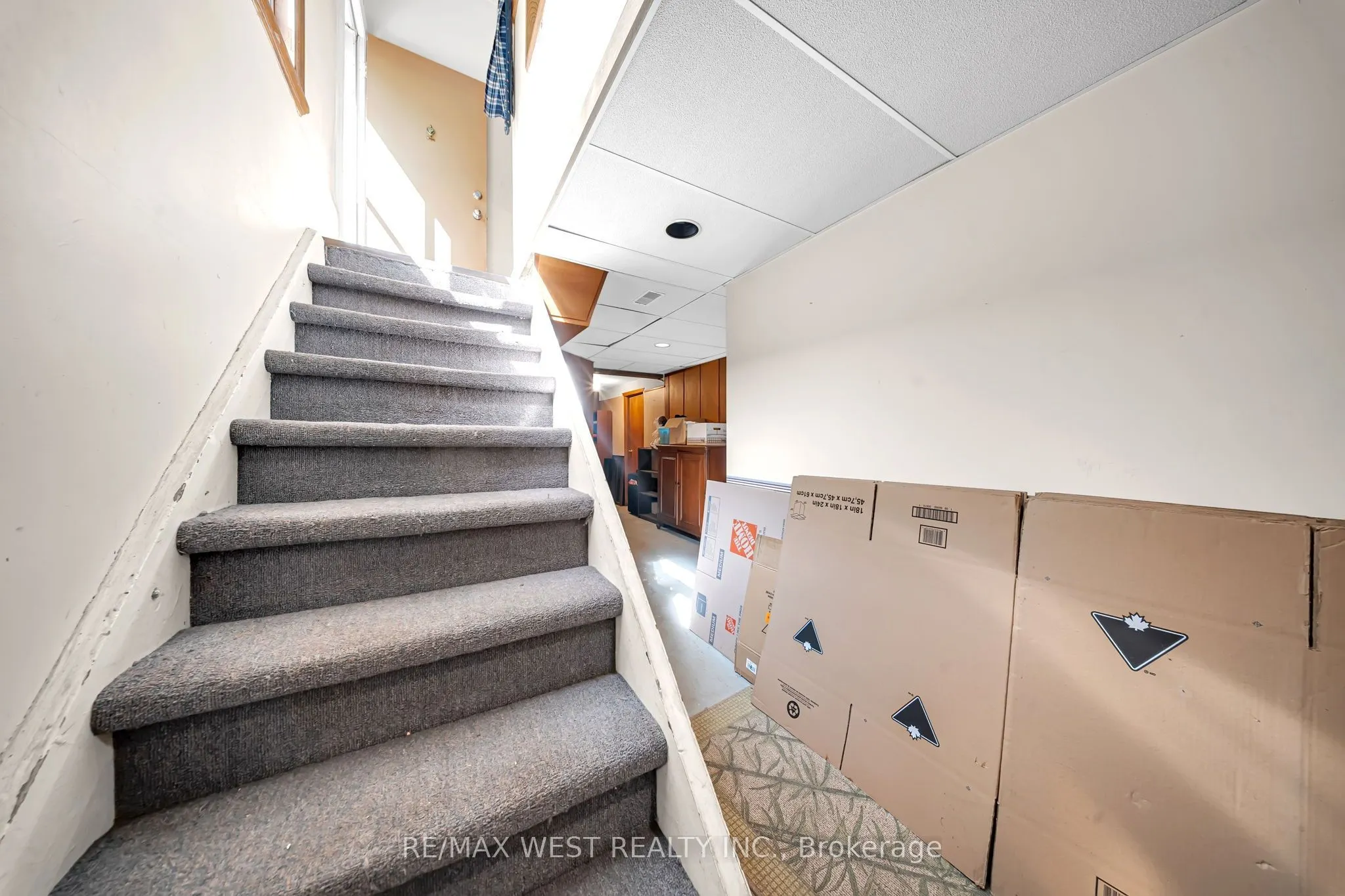 1610 Magenta Court