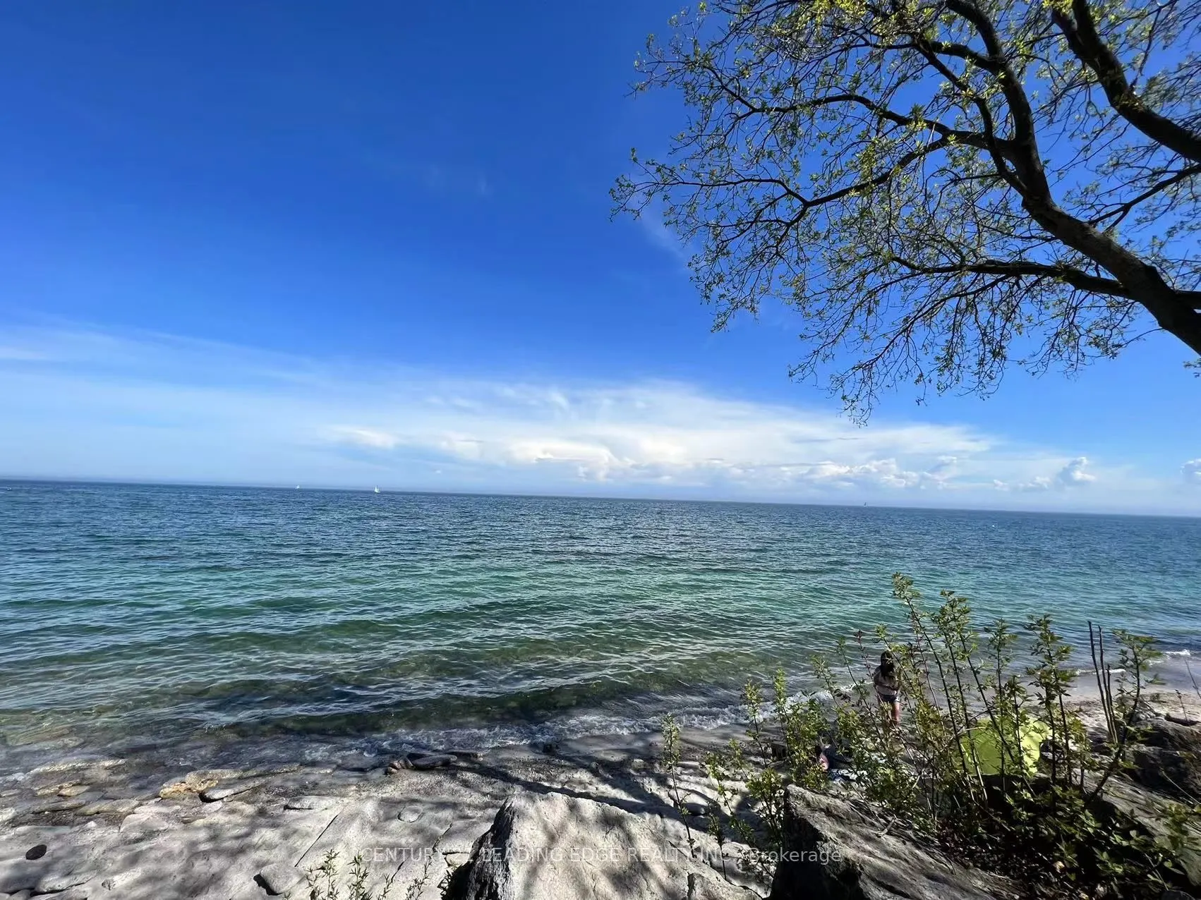 2719 Lake Shore Boulevard W #6