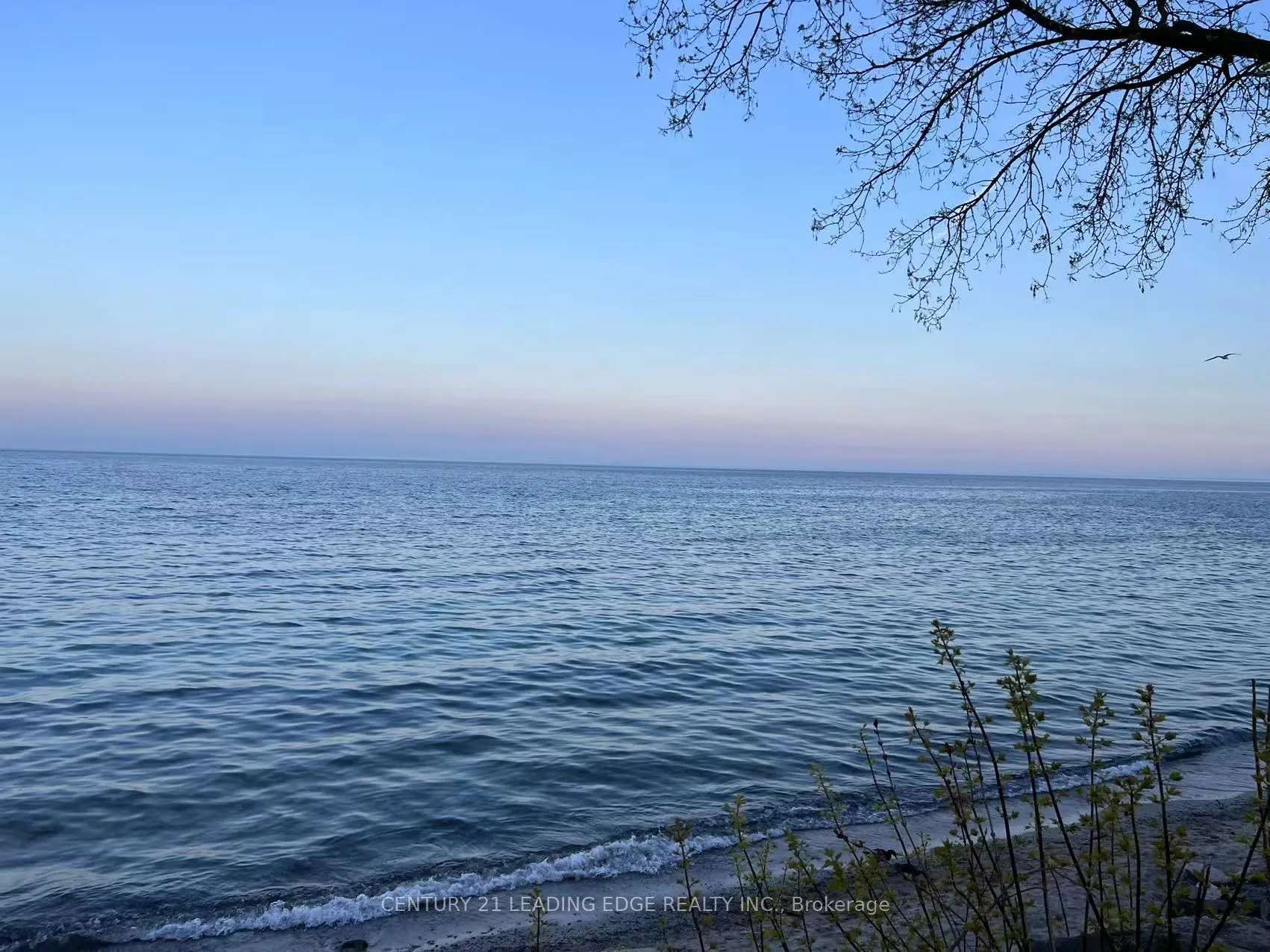 2719 Lake Shore Boulevard W #6