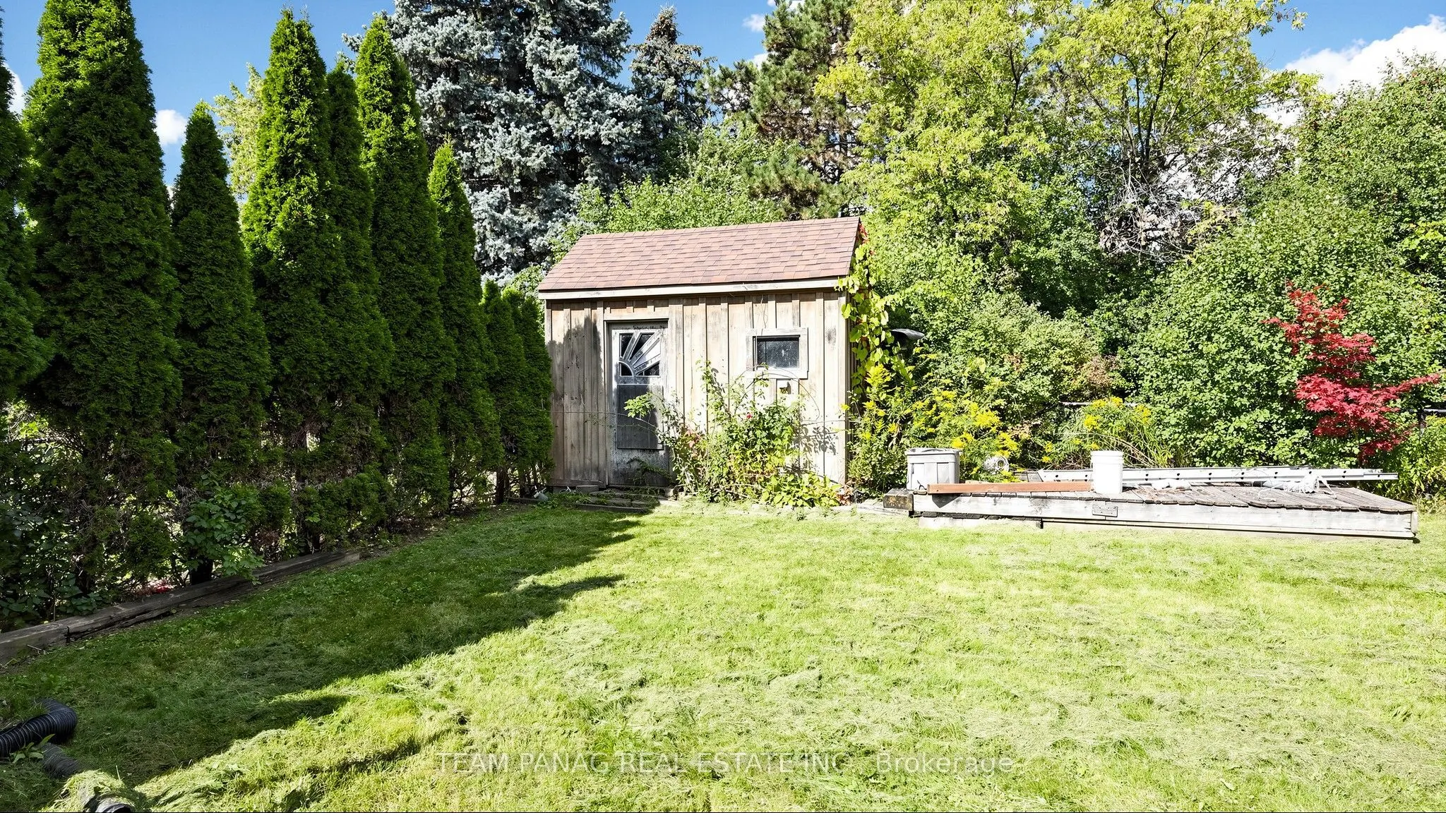 56 Roseville Drive