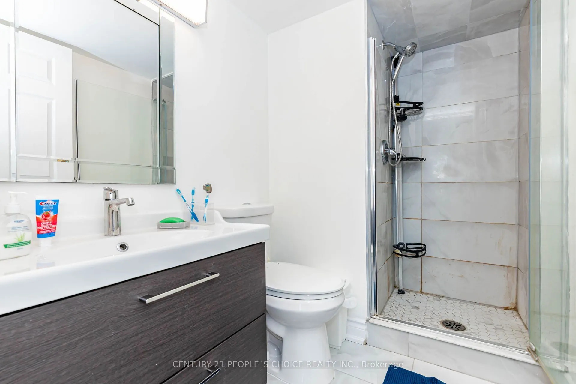 250 Webb Drive #1015