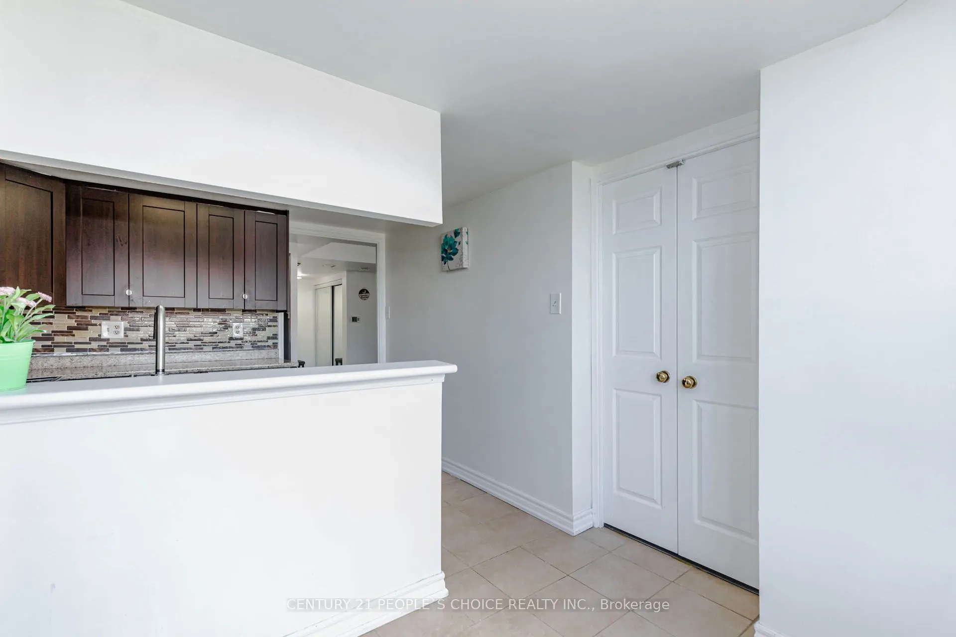 250 Webb Drive #1015