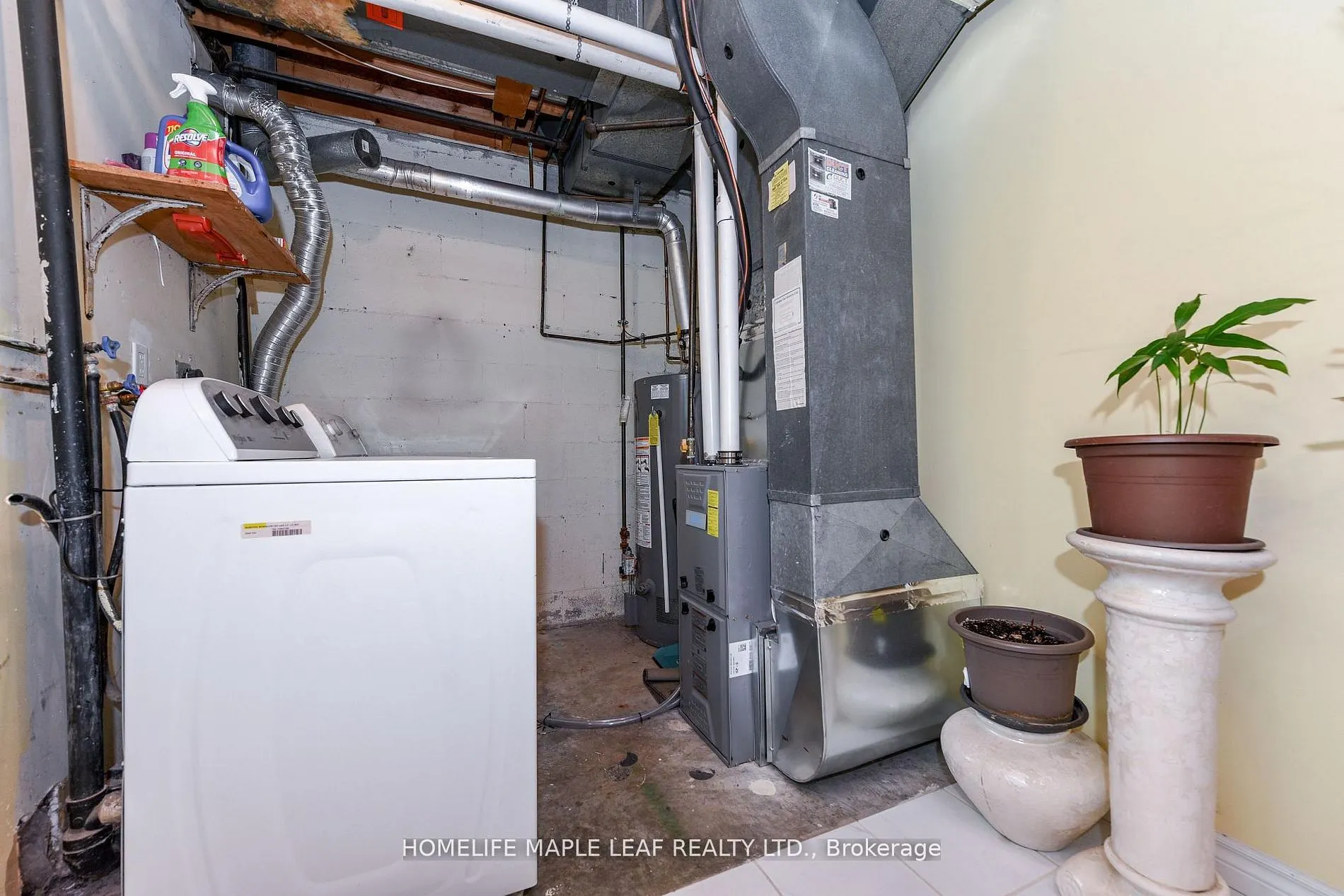 85 Enmount Drive #85