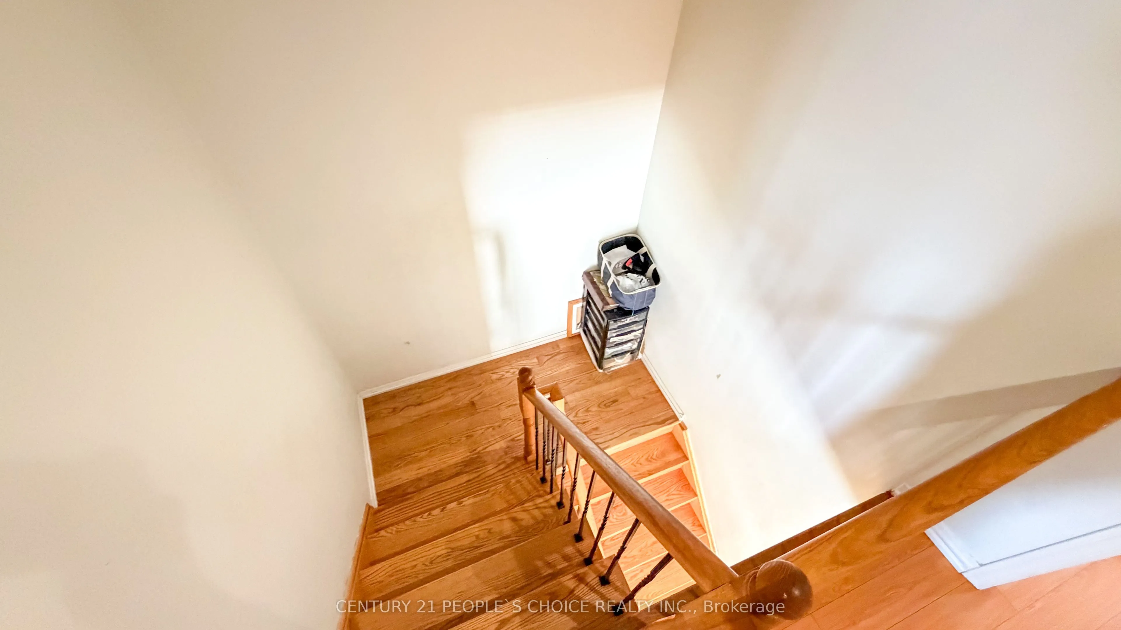 20 Belinda Drive