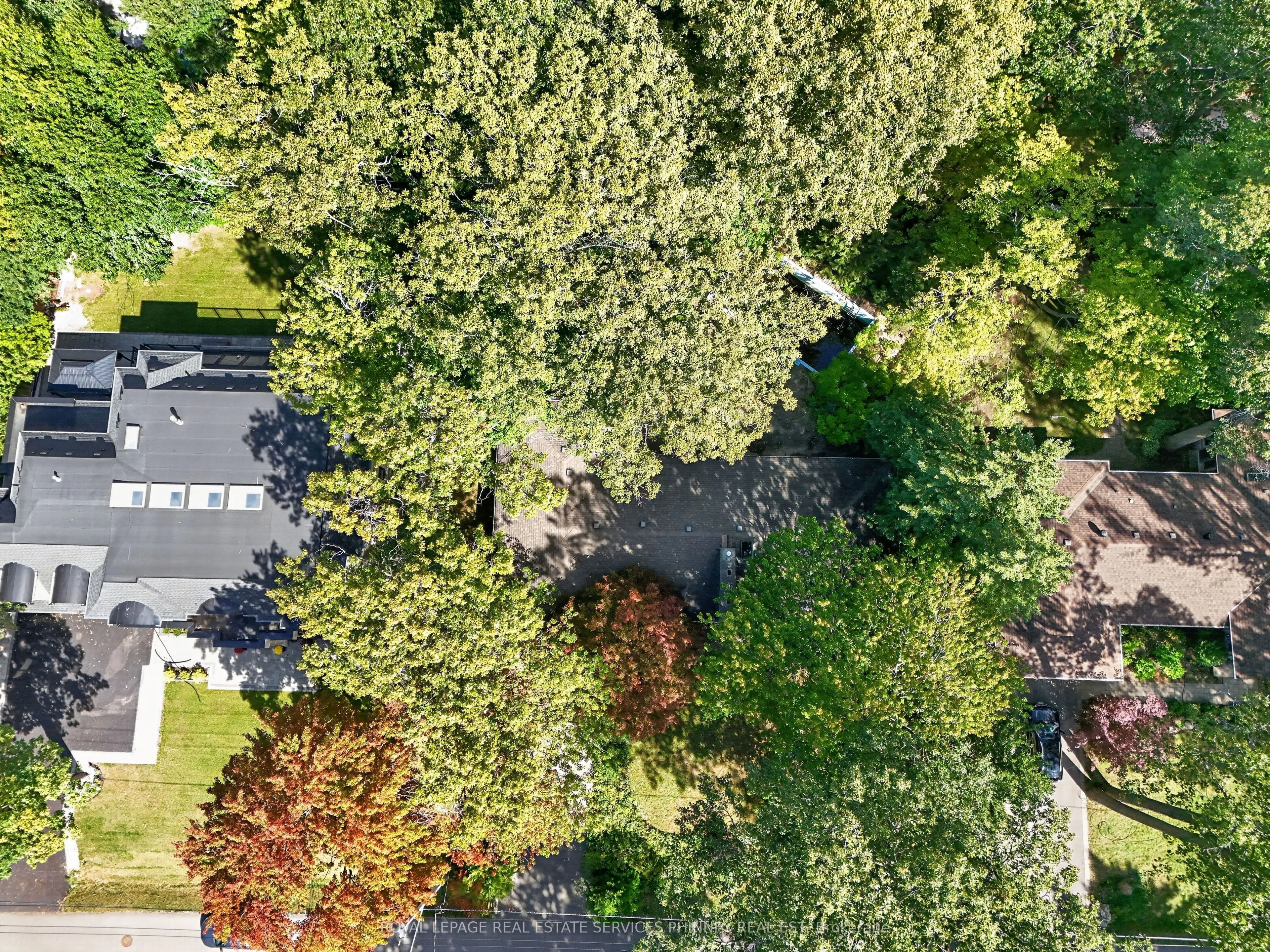 1519 Elite Road