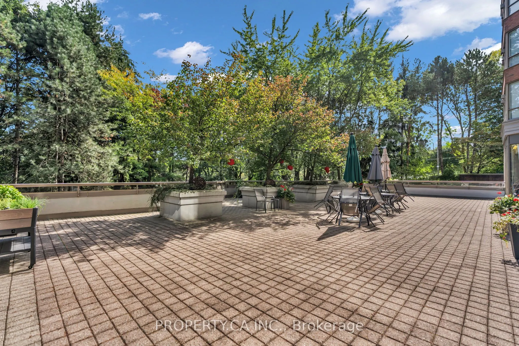 1 Ripley Avenue #517
