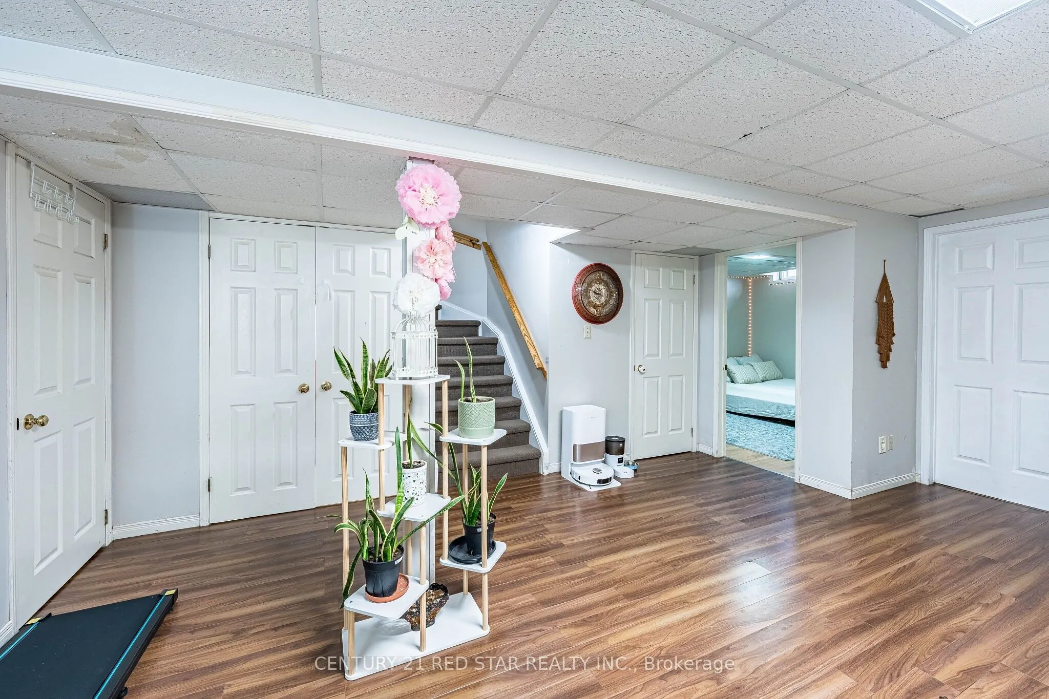 52 Newdale Place