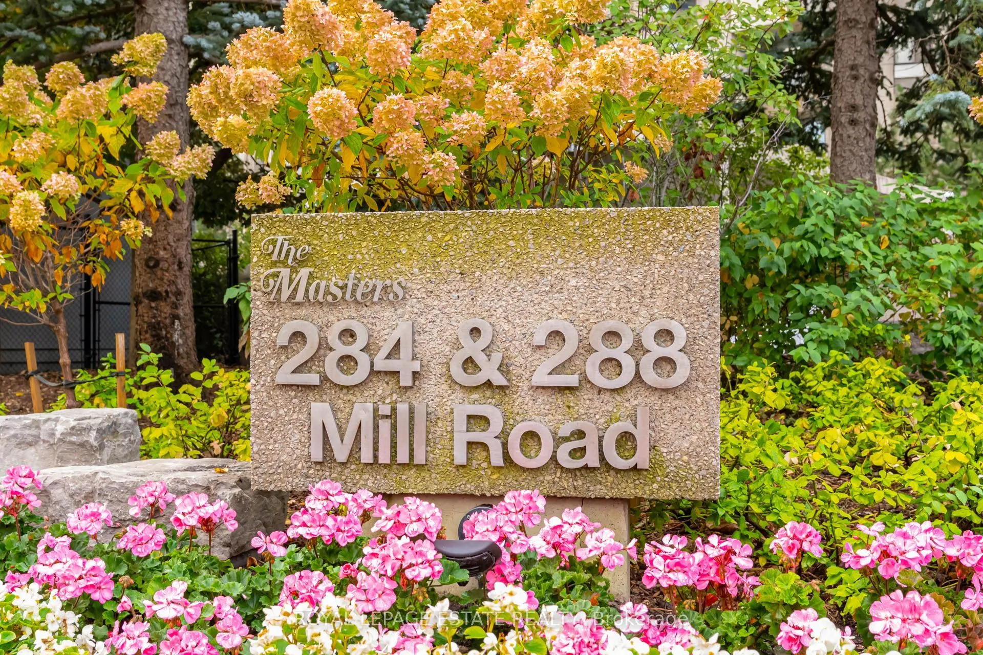 284 Mill Road #A12