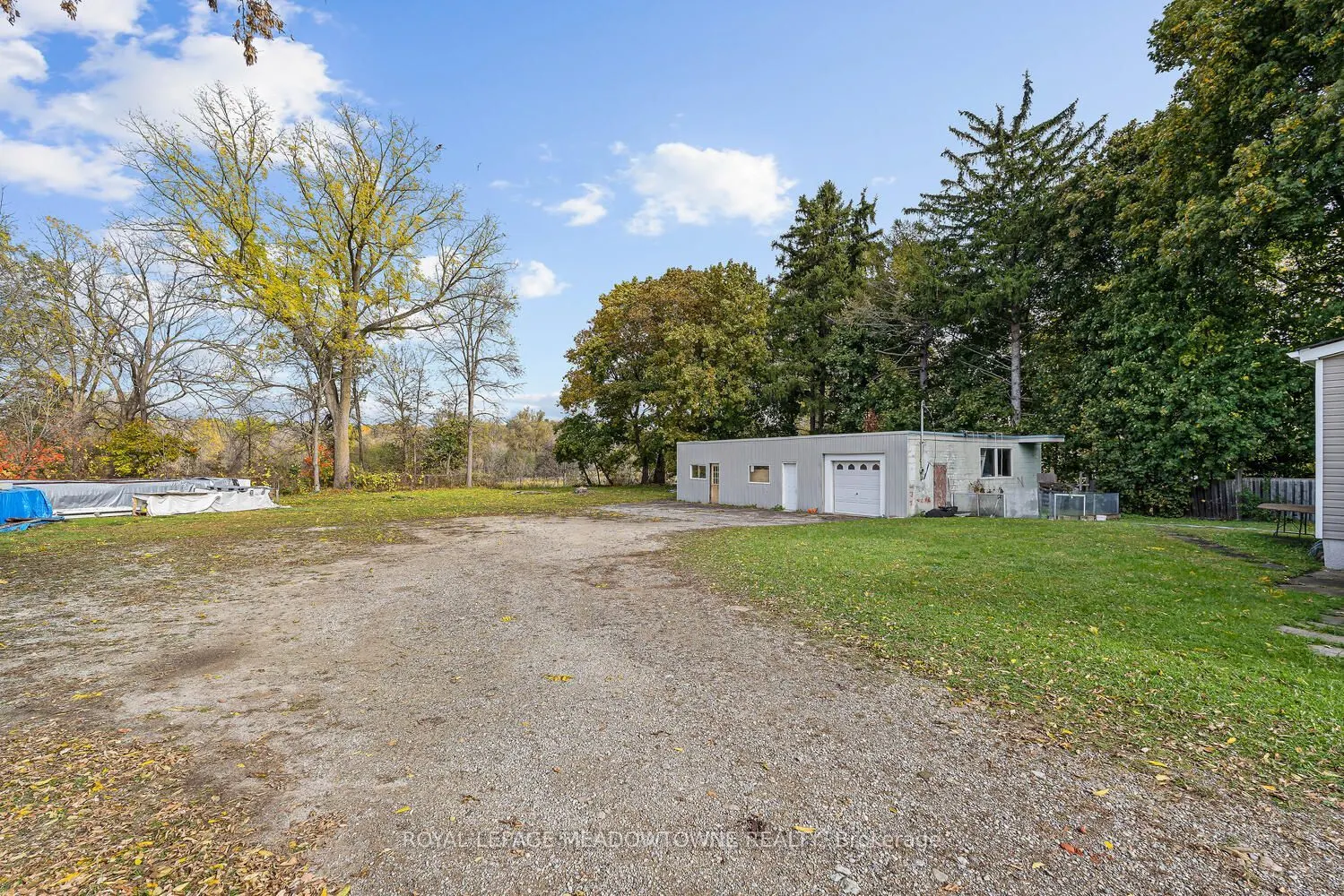 503 Guelph Street