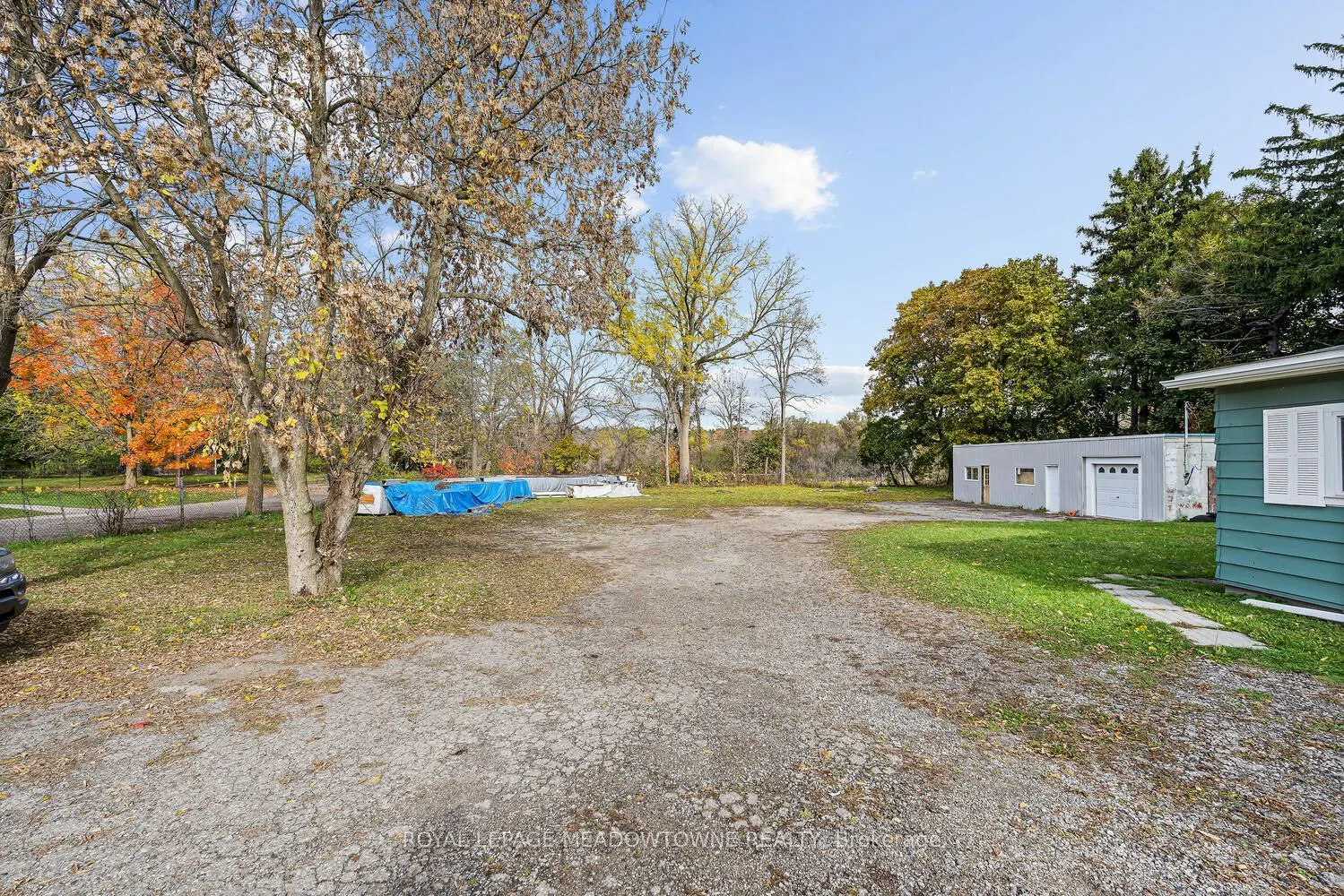 503 Guelph Street