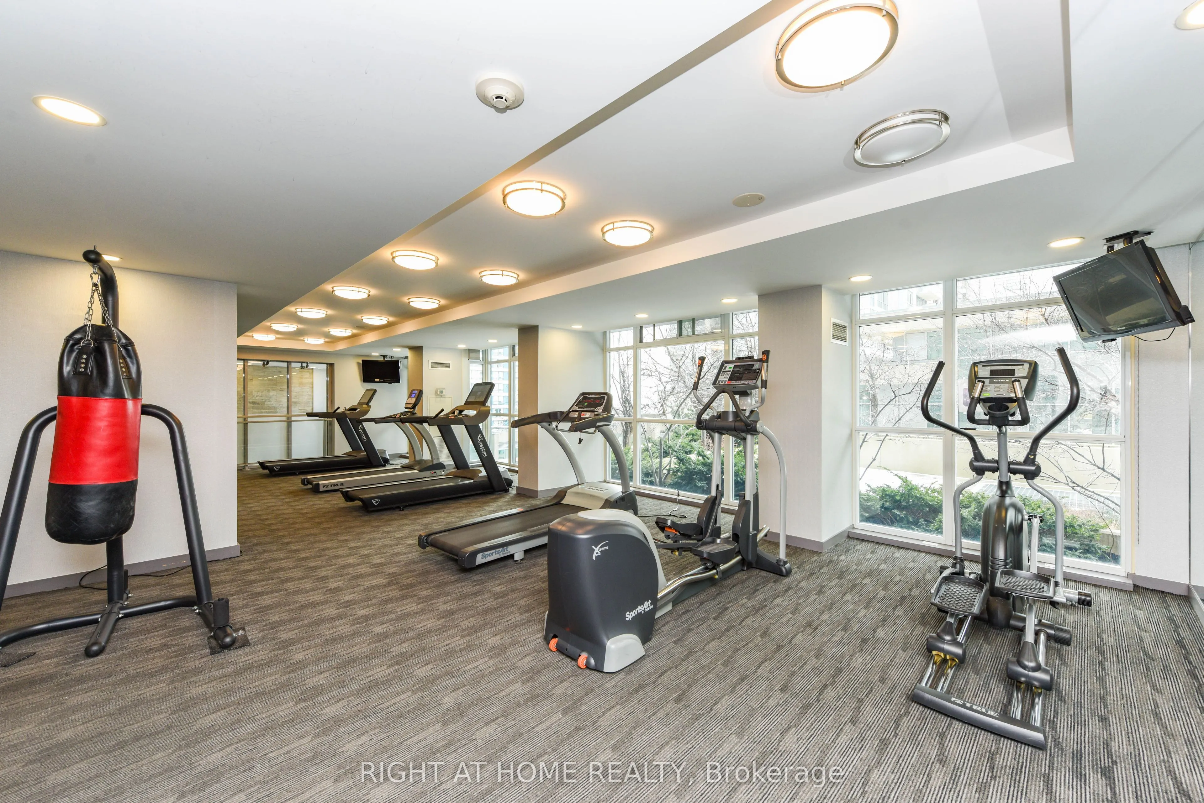 223 Webb Drive #2802