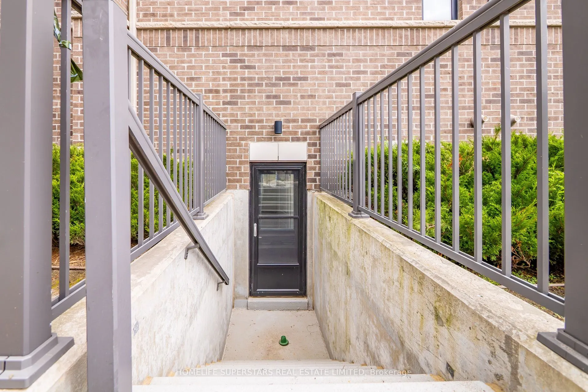 8 Drummond Street #413