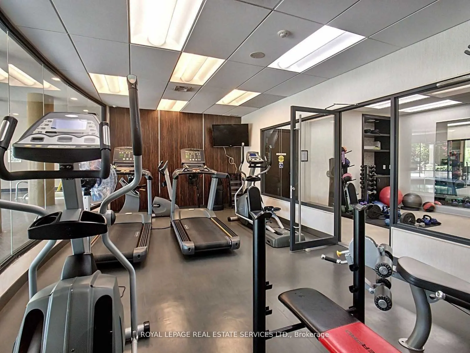 1135 Royal York Road #502