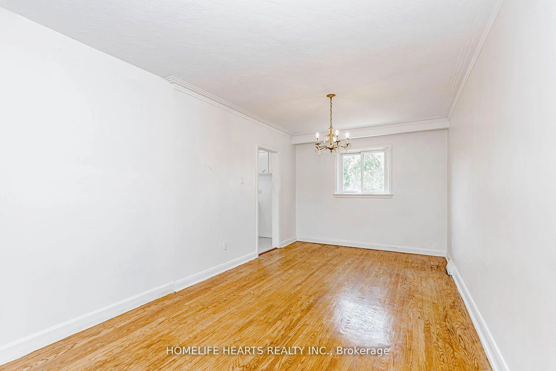 6 Dittmer Crescent