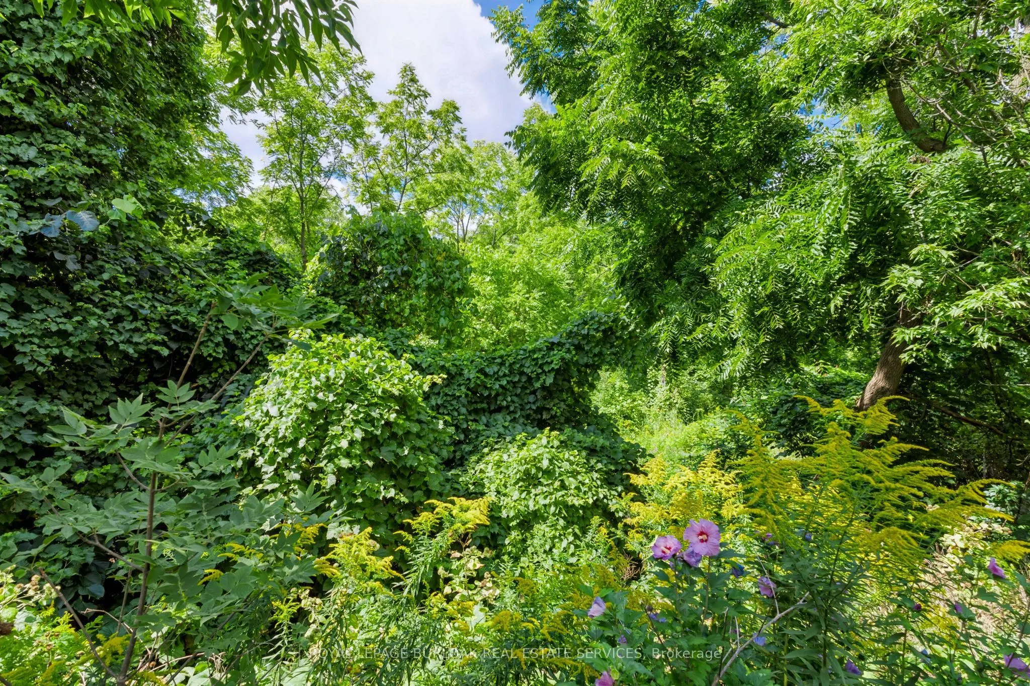 5151 Upper Middle Road #11