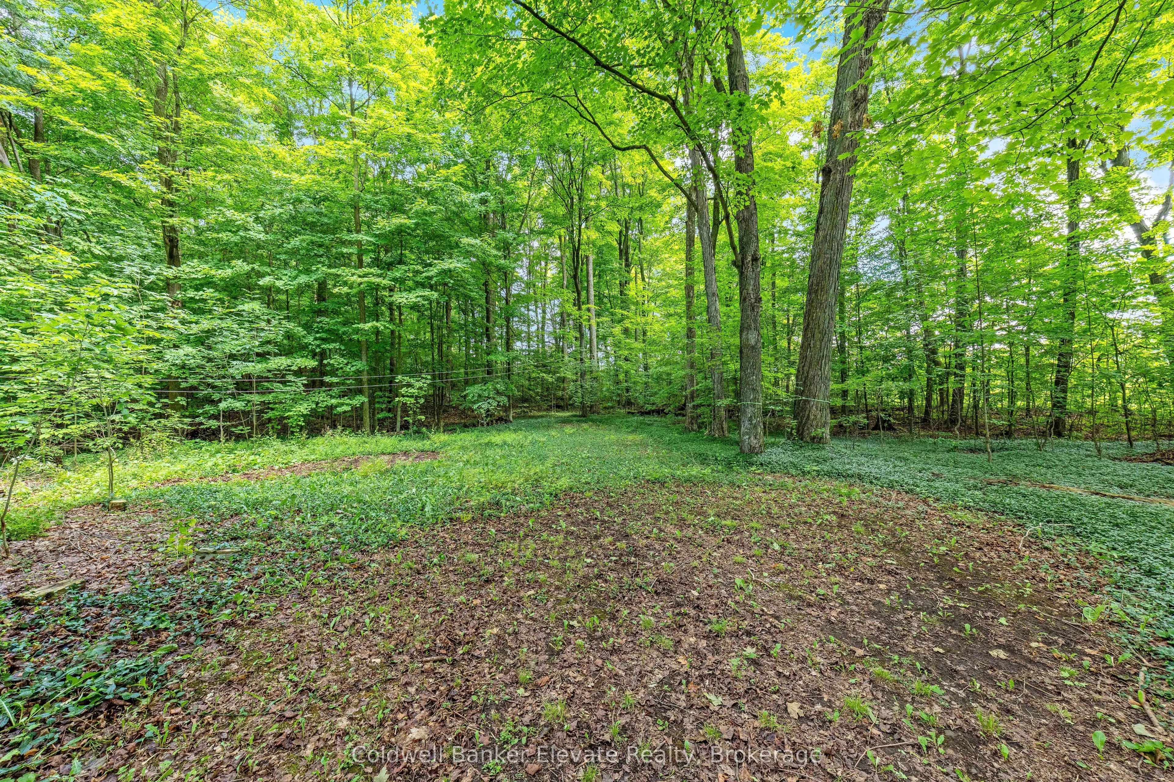 2529 Campbellville Road