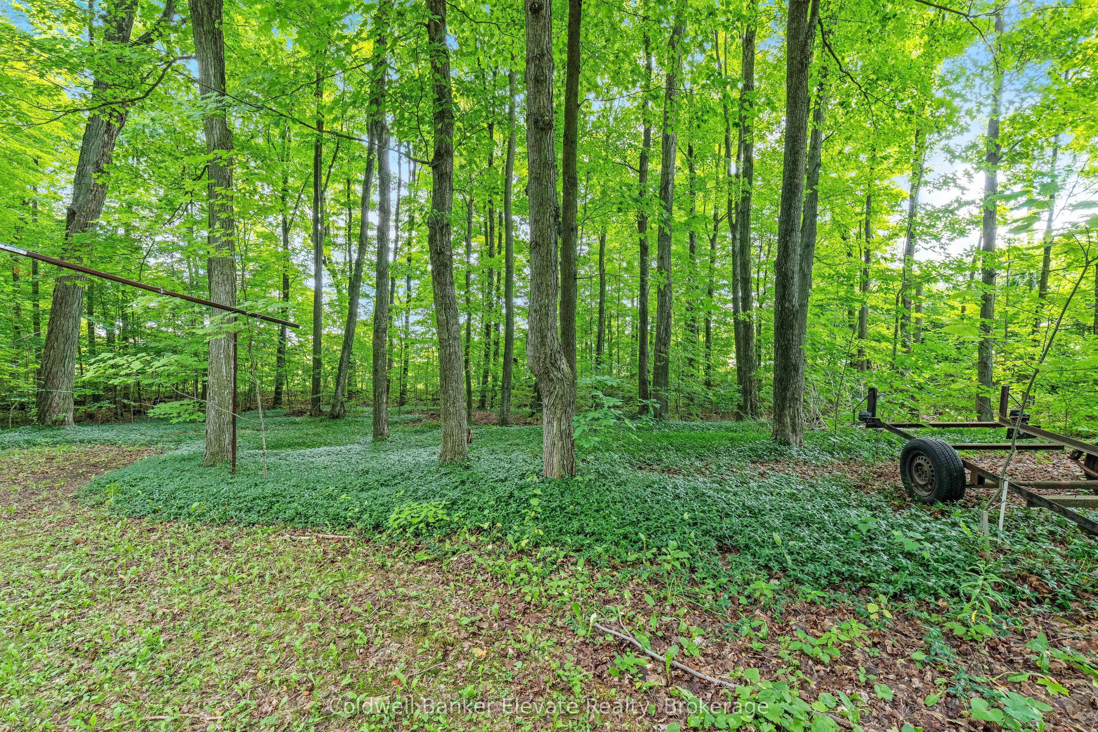 2529 Campbellville Road
