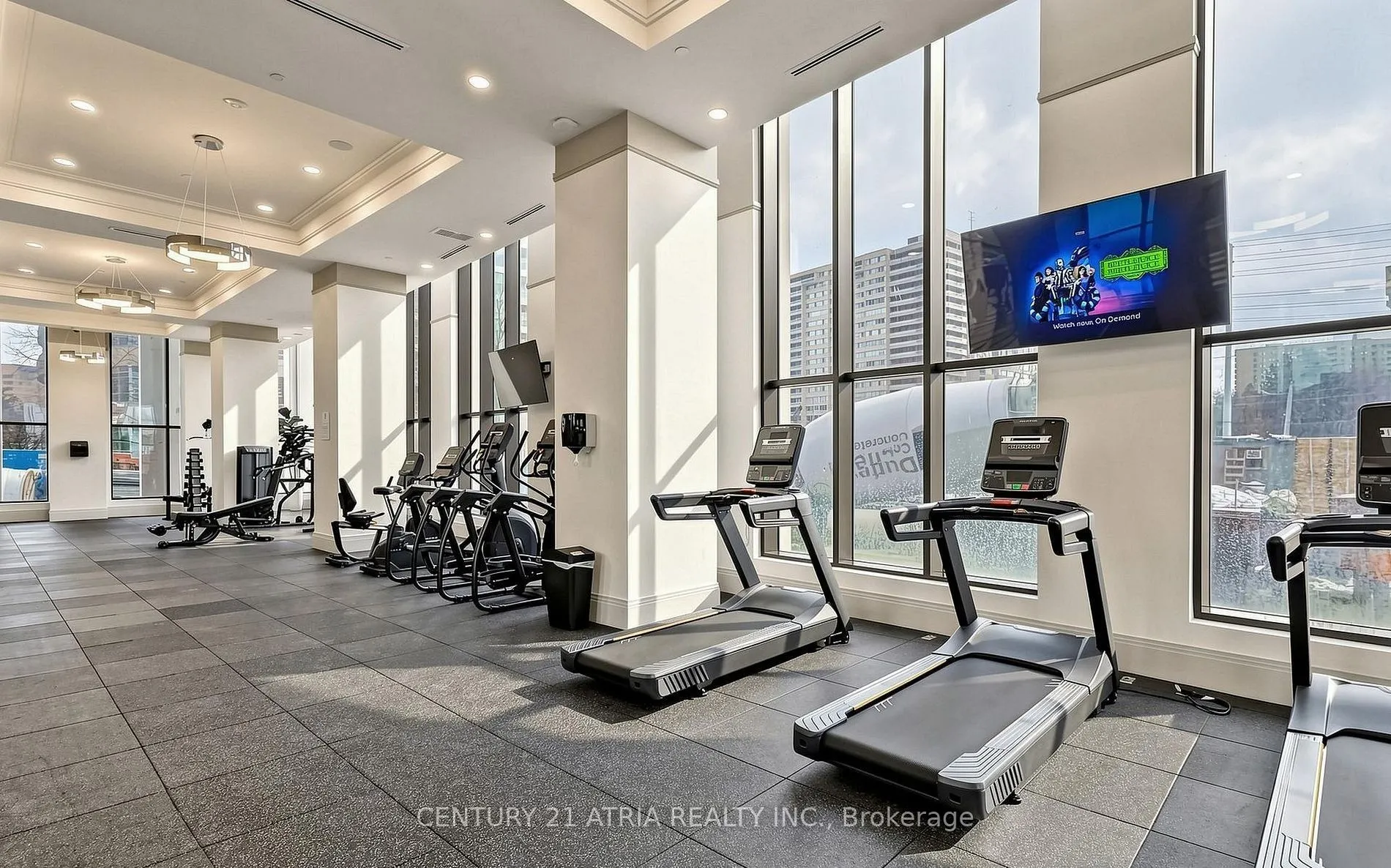 30 Elm Drive W #2811