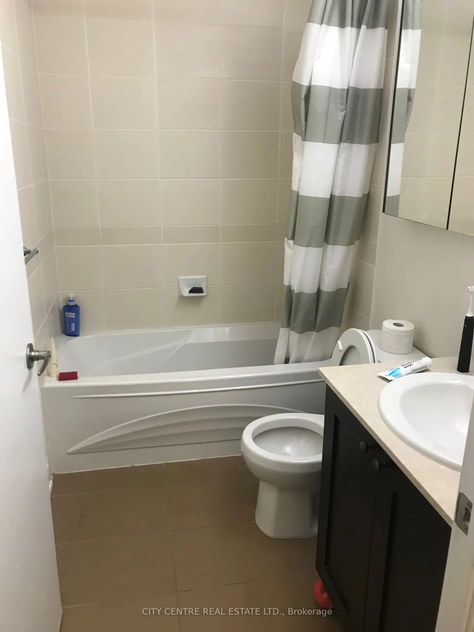4065 Brickstone Mews #3205