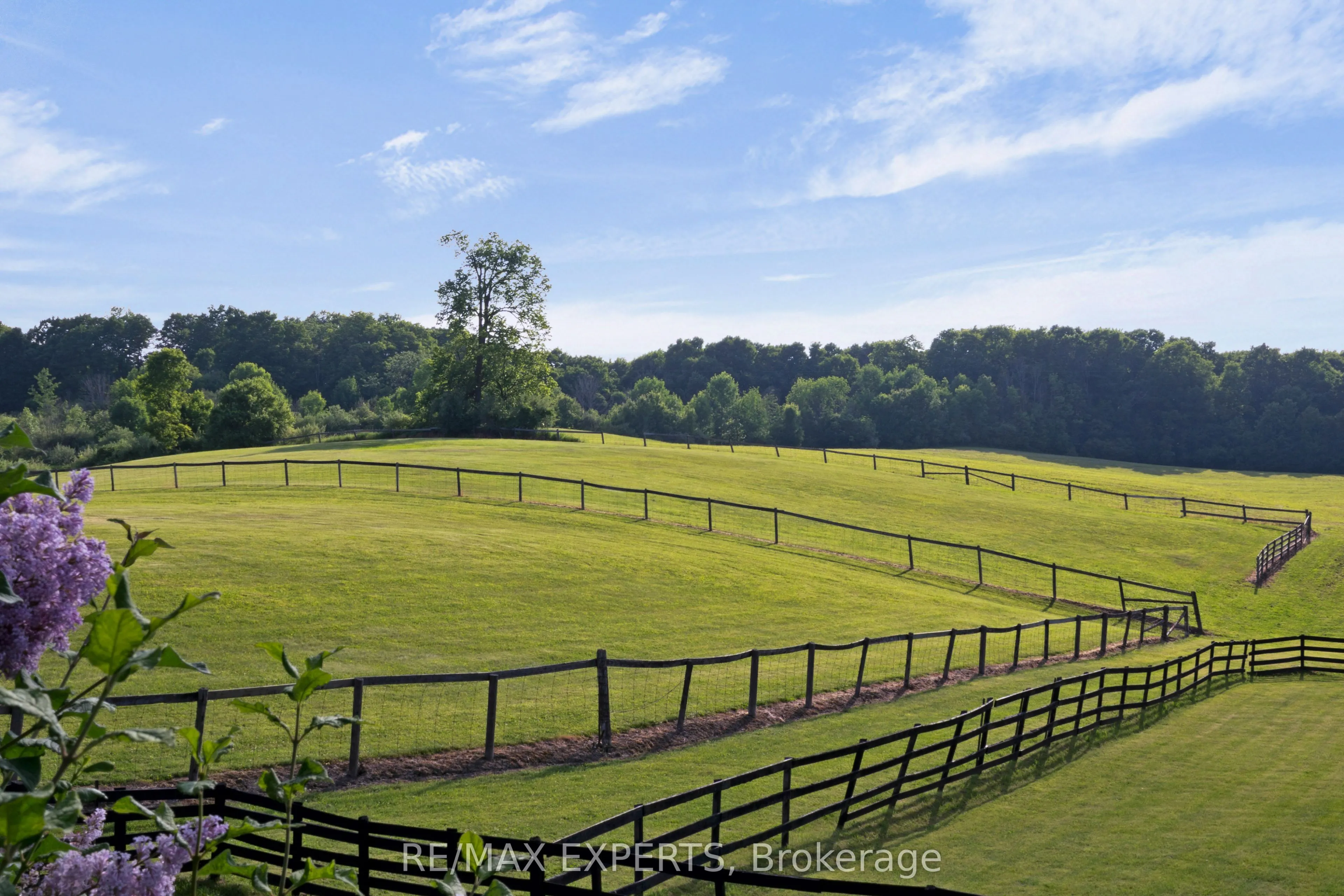 16718 Caledon King Townline N