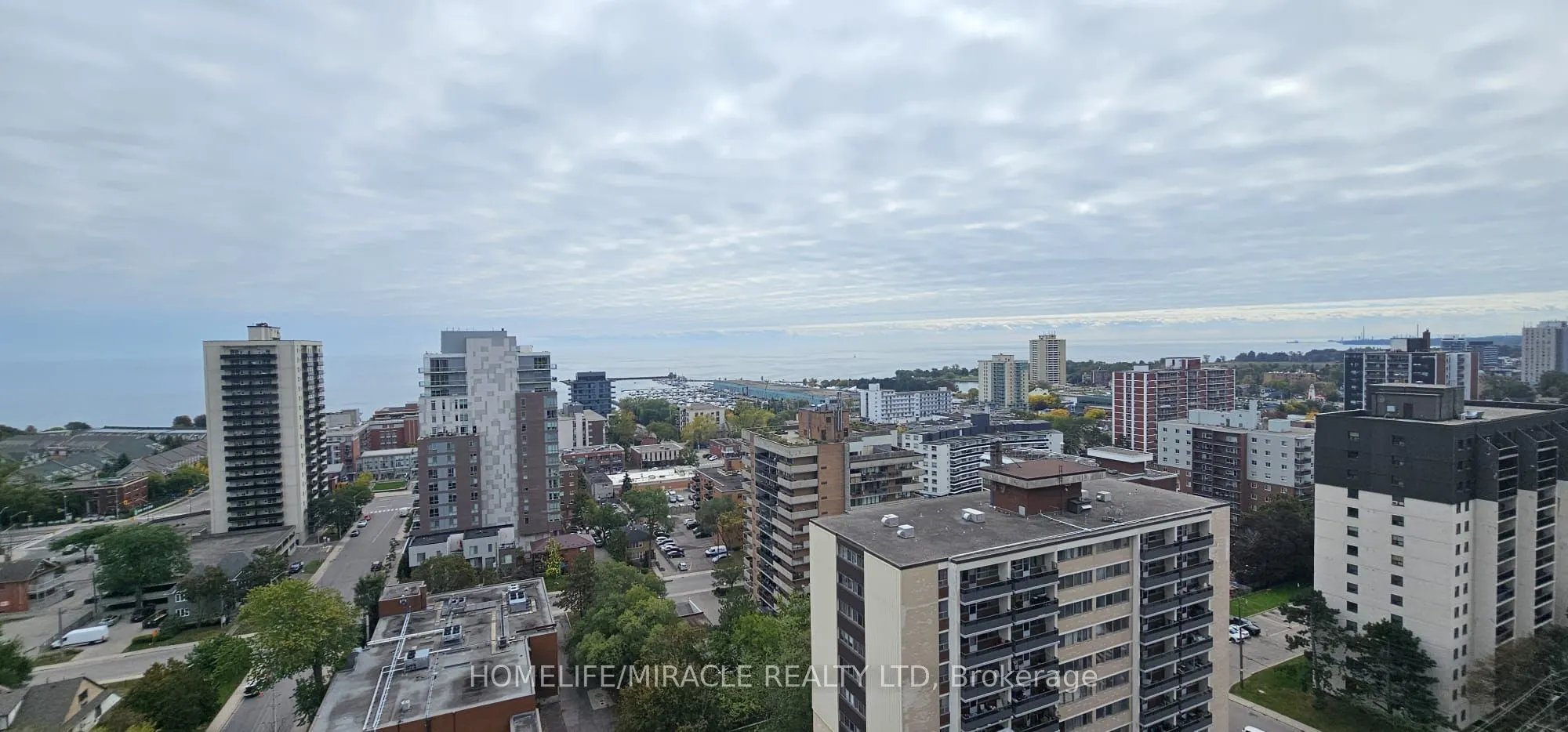 28 Ann Street #615
